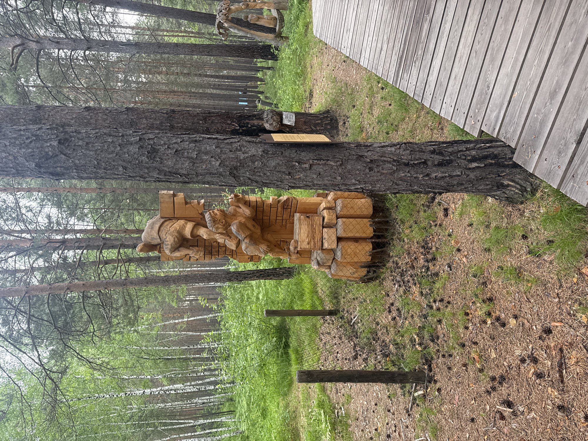 This image depicts an outdoor scene in a wooded area, likely a park or nature reserve, possibly located in or near the village of Savvateevka, Russia. The foreground features a wooden boardwalk constructed with grey planks, leading into the scene. To the left of the boardwalk, a large pine tree stands prominently. Further into the scene, a wooden sculpture carved to resemble figures on a brick structure is visible. The sculpture depicts at least two figures, one seemingly climbing or reaching over the other. The ground is covered with pine needles, cones, and sparse green grass. A wire fence with wooden posts is also present, separating the boardwalk area from the immediate vicinity of the sculpture. The background is dominated by a dense forest with a mix of tall pine trees and lighter-colored birch trees. The overall atmosphere suggests a natural, tranquil setting that has been enhanced with artistic installations.