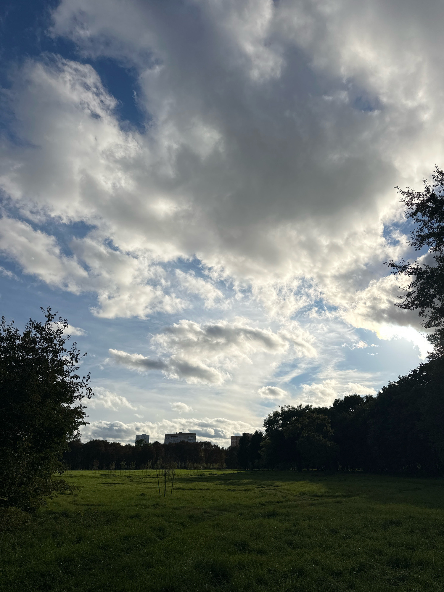 A low-angle, wide shot captures a grassy field under a cloudy sky in Minsk, Belarus. The field, dotted with young saplings, is bordered by a dense line of dark green trees. In the distance, two tall residential buildings are visible above the tree line. The sky is filled with dramatic, textured clouds, with patches of blue sky peeking through. The lighting suggests it is either early morning or late afternoon, with sunlight breaking through the clouds on the right side of the frame, casting some shadows on the field.