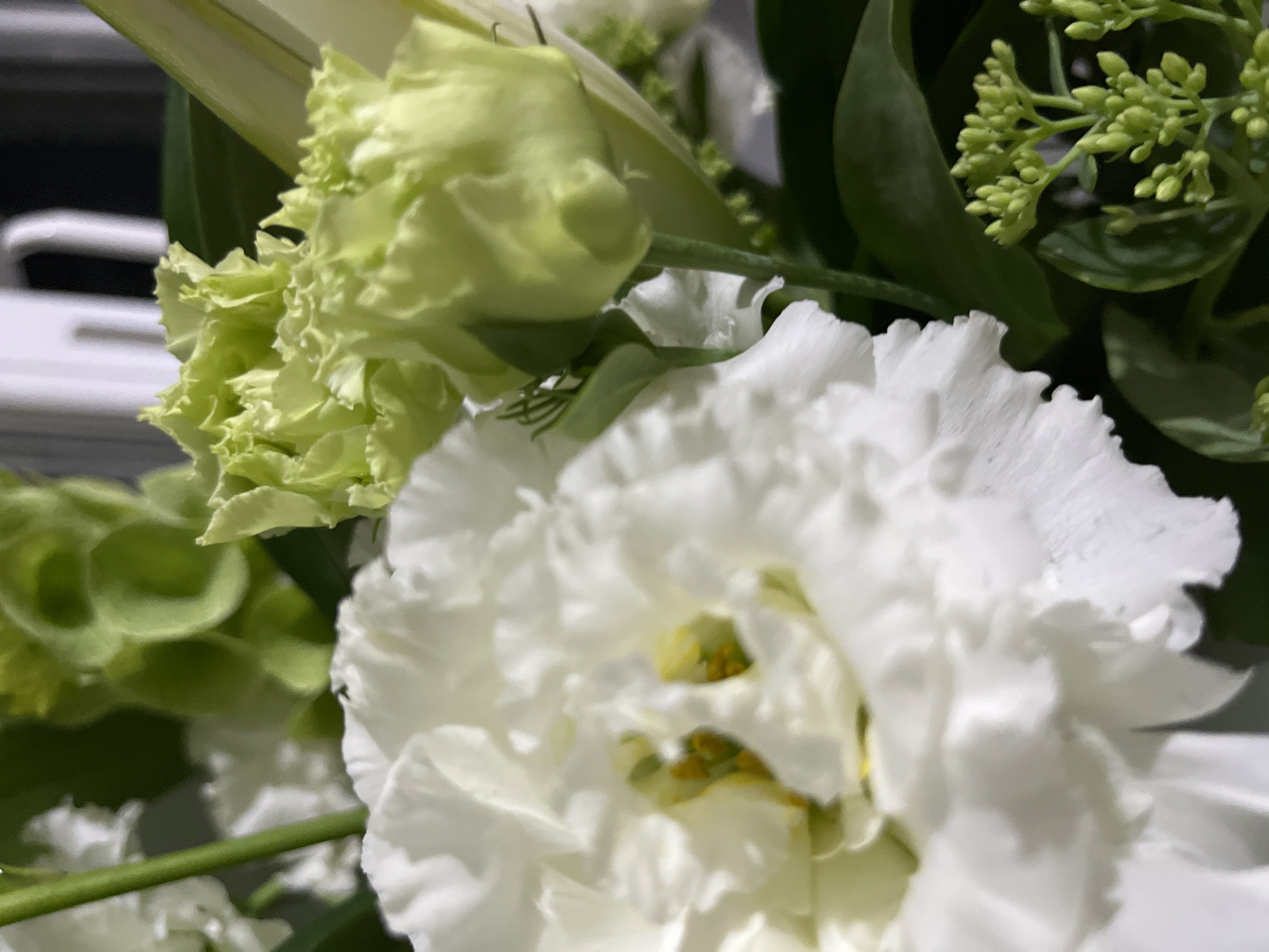 The image shows a close-up view of a bouquet of flowers, with a prominent white flower in the foreground. The flower has delicate, ruffled petals and yellow stamen in the center. Behind the white flower, there are several pale green flowers with ruffled petals, as well as green leaves and small green buds. The background is blurred, but appears to be indoors with hints of a white surface that could be furniture. The image does not contain any information to indicate its location in Dnipro, Ukraine.