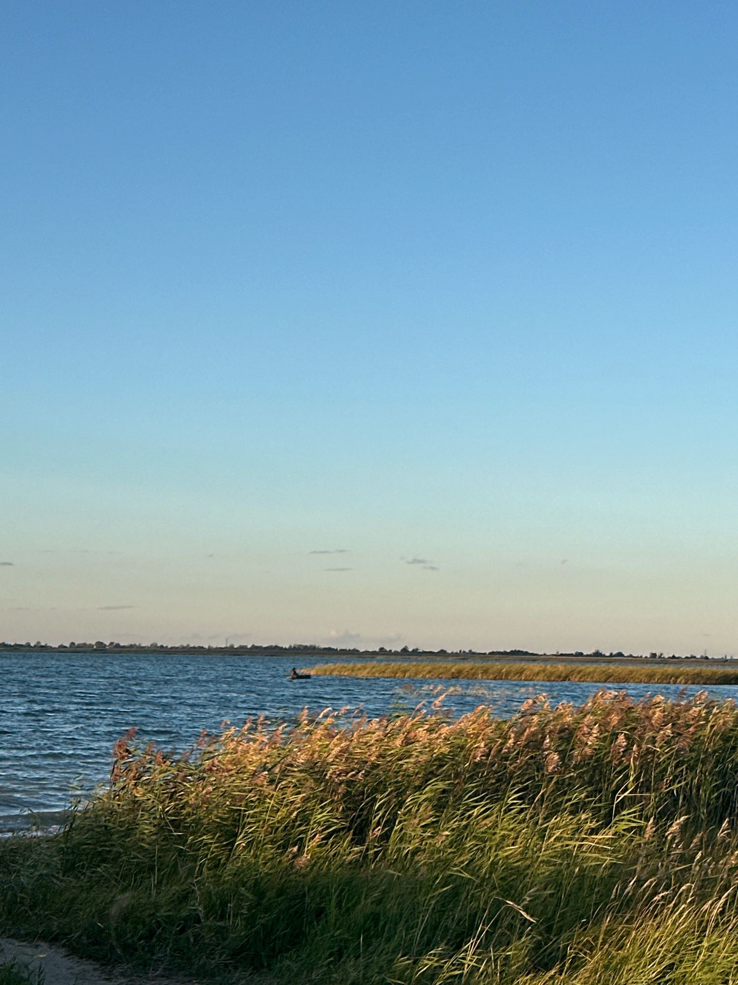 A wide shot captures a serene natural landscape at the edge of a body of water, possibly a lake or sea, with tall reeds and grasses in the foreground. The water is a deep blue, reflecting the clear sky above, which transitions from a pale blue near the horizon to a deeper hue overhead. A low line of trees and structures is visible in the distance across the water. In the middle distance, a person is seated in a small boat. The overall impression is one of peacefulness and natural beauty. The image does not depict the city of Цабелевка, Kazakhstan, nor does it contain any urban elements.