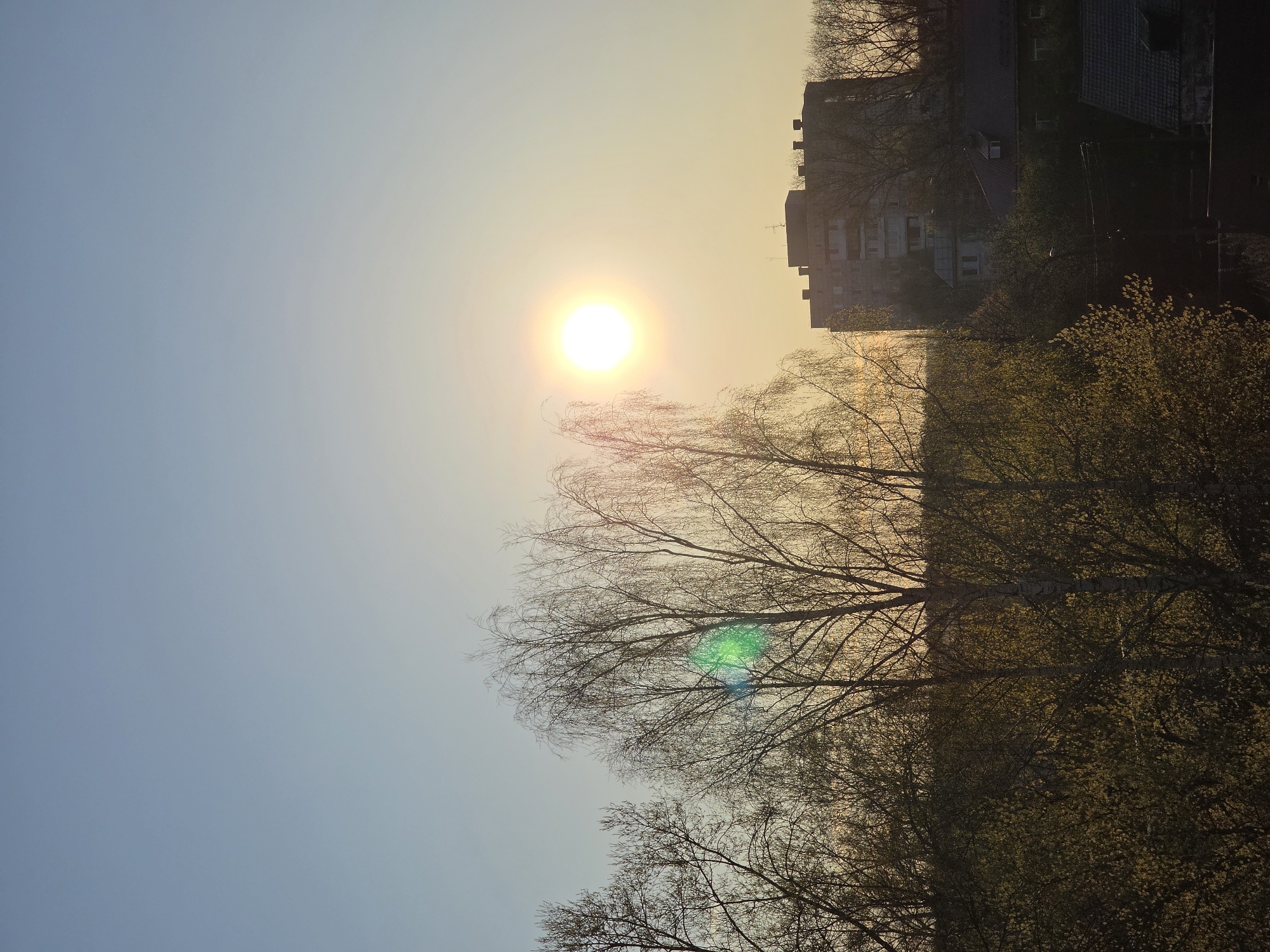 The image shows a view in Unknown, Unknown. The sun is high in the sky, casting a warm, golden light. In the foreground are trees, some with bare branches and others with new spring foliage. A building is visible in the background, partially obscured by the trees. The sky is a gradient of blue and yellow near the sun. A lens flare is visible near the middle of the tree canopy.