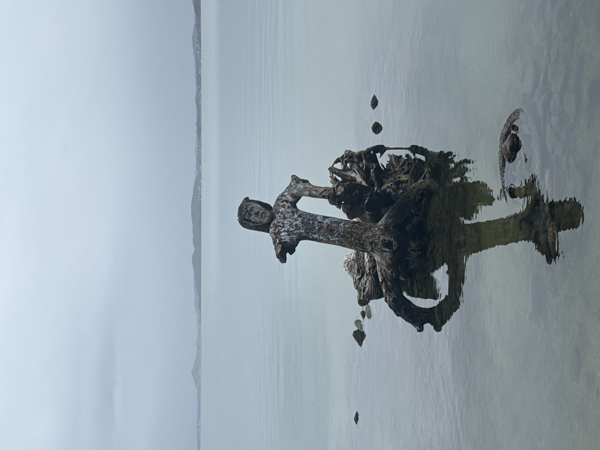 The image depicts a weathered piece of driftwood, artfully arranged to resemble a human figure, submerged in the shallow waters of Praia do Centro in São Pedro da Aldeia, Brazil. The driftwood sculpture, exhibiting a distinct head and body, is situated amidst several rocks and its reflection is clearly visible on the calm, overcast surface of the water. In the background, the horizon is marked by a distant, undulating shoreline with subtle hints of vegetation or structures, fading into a hazy, muted sky. The overall scene is one of somber tranquility, enhanced by the cool, desaturated color palette.