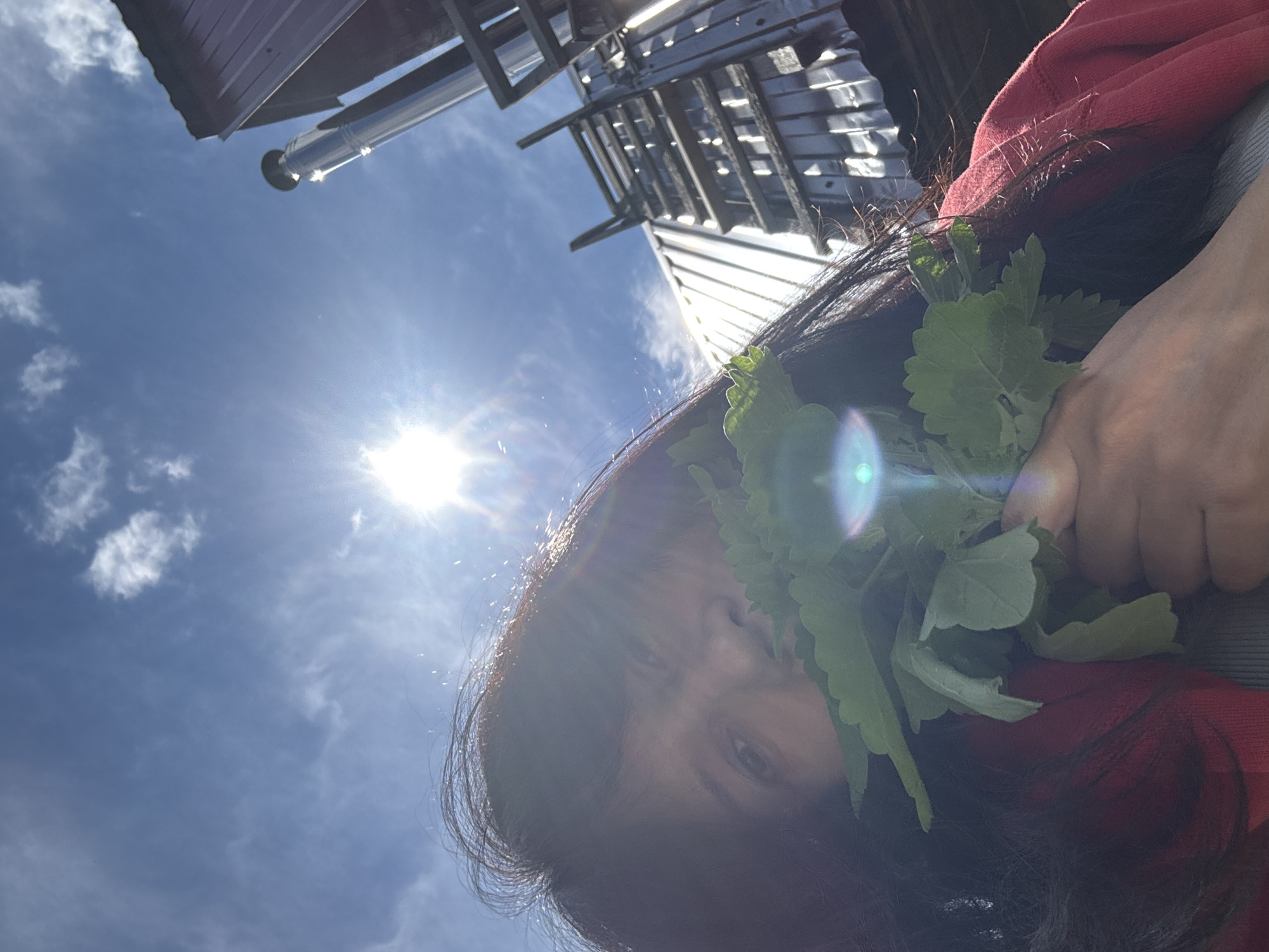 A person with long dark hair, wearing a red and gray garment, is holding a bunch of green leafy plants near their face. The person's face is partially visible, with one eye clearly seen. The background features a bright blue sky with scattered white clouds, and the sun is shining intensely. Above the person, there is a structure that appears to be part of a building or some kind of metallic scaffolding, possibly a roof or part of a construction site. The location is not apparent from the provided image.