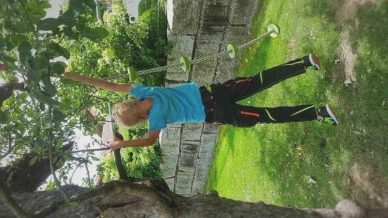 In an outdoor setting, a young Caucasian boy with blonde hair is pictured from behind, hanging from a tree branch with his left hand and reaching upwards with his right hand. He is wearing a blue t-shirt, black pants with orange and yellow accents, and black and green athletic shoes. A rope ladder with green rungs hangs to his right. The background consists of green grass, a stone wall, and lush foliage with trees and some distant structures. The lighting suggests it is daytime.