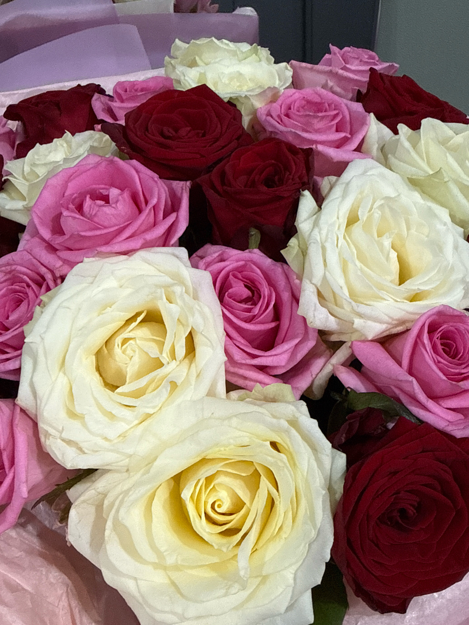 A close-up, top-down view of a bouquet of roses is presented. The bouquet consists of roses in three colors: deep red, vibrant pink, and creamy white. The roses are densely packed, with some fully bloomed and others still in bud. The petals are soft and velvety, with intricate patterns of light and shadow. The background is blurred, but hints of a purple wrapping can be seen, suggesting the bouquet is presented in gift wrapping. The image is likely taken indoors, possibly in a studio or a home setting, given the lighting and focus. The specific location within Cheboksary, Russia, cannot be determined from the visual information alone.