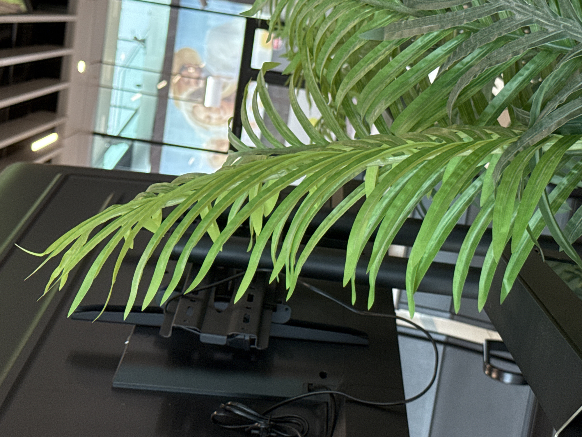 The image depicts a close-up view of a vibrant green artificial palm frond in the foreground. The frond is positioned diagonally, with its long, slender leaves extending upwards and to the right. Behind the frond, a black flat-screen television is mounted on a black stand, with visible cables connected to the back. The television screen displays a slightly blurred image of a couple, a man wearing a straw hat and a woman, implying an outdoor or vacation setting. The background shows a modern interior with large windows and overhead lighting. The overall scene suggests an indoor environment, possibly an office, lobby, or retail space. The presence of the television screen with the image of people and the indoor setting do not provide any specific information that would allow for the determination of its location in the city of Ob, Russia.