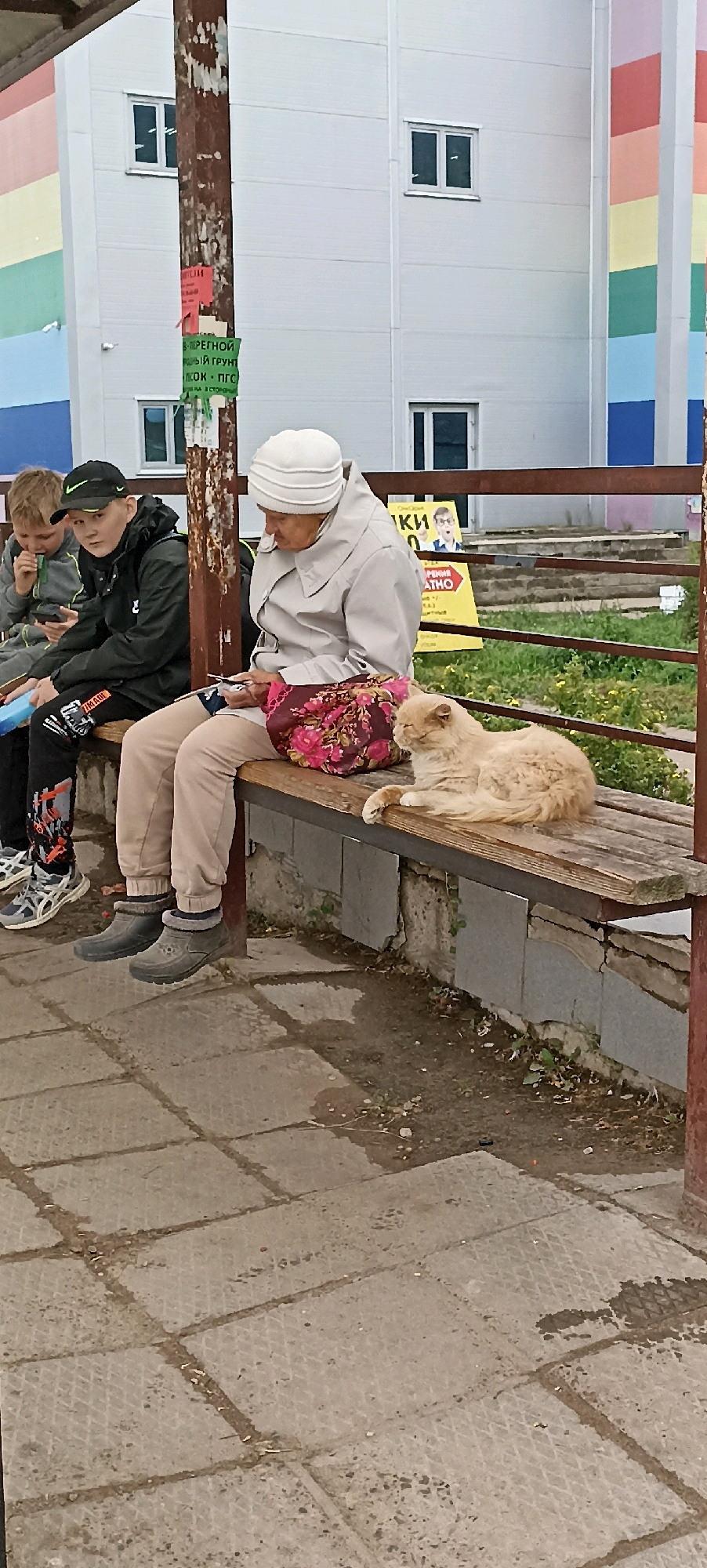 An elderly woman wearing a light-colored hat and coat sits on a wooden bench on an overcast day. She is looking down at a cell phone in her hands. A fluffy ginger cat is lying on the bench next to her, appearing to sleep. Two young boys are sitting to her left on the same bench. The boy on the far left is wearing a gray hooded jacket and looking at his phone. The boy next to him is wearing a black hooded jacket and a black baseball cap and is looking forward. Behind the bench is a metal railing and a building with colorful vertical stripes on its exterior. The ground in front of the bench is paved with concrete tiles. The scene is set in Votkinsk, Russia.