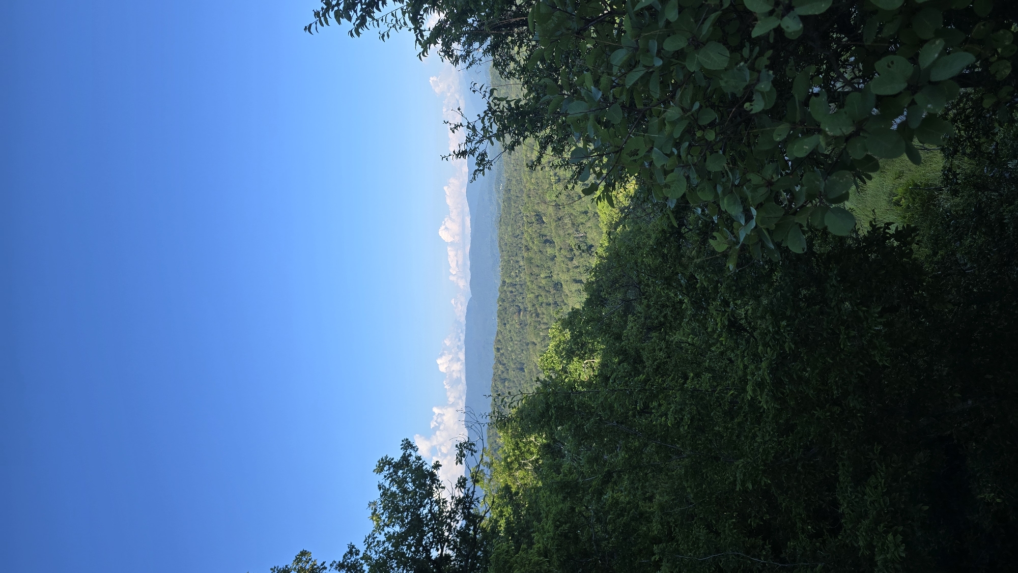 The image depicts a verdant, mountainous landscape under a clear blue sky. Lush green forests cover the slopes of rolling hills, stretching towards a distant range of mountains. Scattered white clouds dot the horizon. In the foreground, the dense foliage of trees partially frames the view, suggesting a vantage point from a higher elevation, possibly a hillside or a balcony overlooking the valley. The scene is devoid of any human presence or man-made structures, emphasizing the natural beauty of the environment. The location is identified as Khostinskiy, Russia.