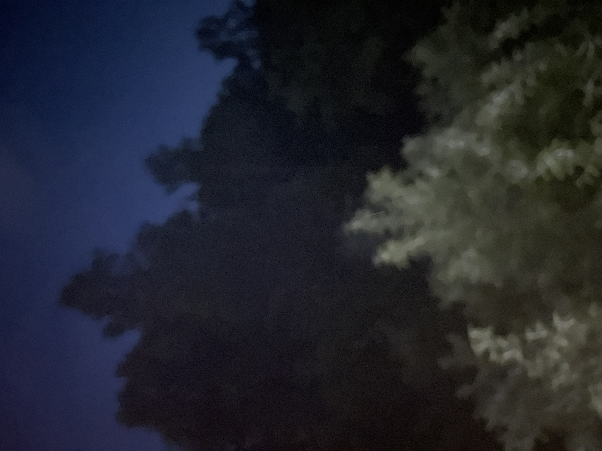 The image displays an outdoor scene captured at night or late dusk, looking upwards towards a dark sky and tree foliage. The left side of the frame features a deep indigo-blue sky, appearing slightly hazy or cloudy. The right and central portions are dominated by the silhouettes of trees, creating irregular, dark shapes against the sky.
Some sections of the tree canopy, particularly on the right, are faintly illuminated with a muted greenish-gray light, suggesting ambient light reflecting off the leaves, possibly from artificial sources out of frame or moonlight. The unlit parts of the trees are almost black. The overall photograph is characterized by low light, resulting in a blurry, soft-focus appearance and a grainy texture. Individual leaves are not clearly defined, but rather appear as indistinct clusters.
There are no people, distinct objects other than the trees, or visible activities taking place. The color palette is dominated by dark blues, blacks, and muted greens, consistent with a nighttime setting. No text is visible within the image.
