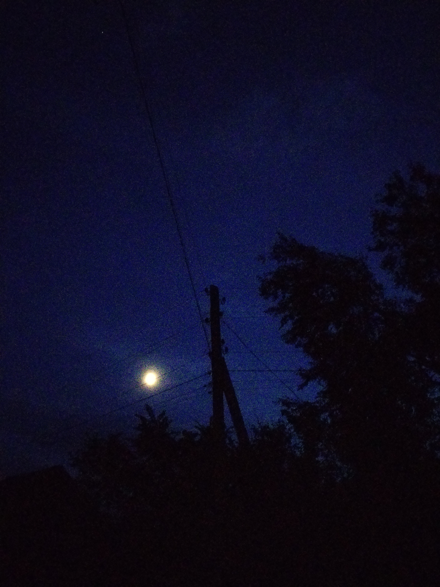 A nighttime image shows a dark blue sky with a bright, full moon illuminating the scene. In the foreground, silhouetted against the sky, are the dark shapes of trees and a utility pole. A power line is visible stretching across the sky. The image appears to have been taken in the city of Ustyvytsia, Ukraine.