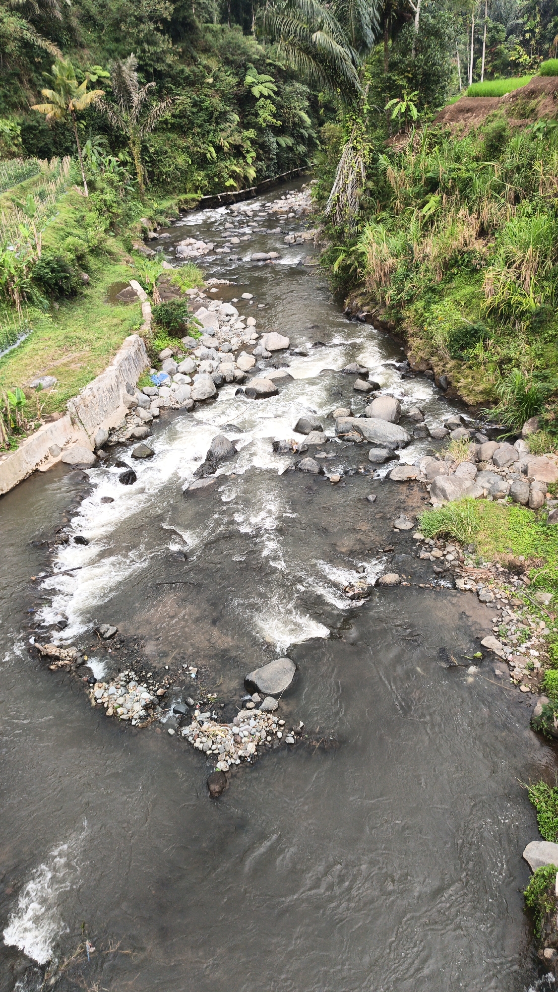 The image shows a river flowing through a lush, green environment in Desa Cidugalen, Indonesia. The river is rocky, with clear, flowing water. The banks of the river are lined with dense vegetation, including trees, ferns, and grasses. There are also some man-made structures visible, such as a concrete wall along one side of the river and some terraced fields in the background. The overall impression is one of a natural and somewhat wild landscape.