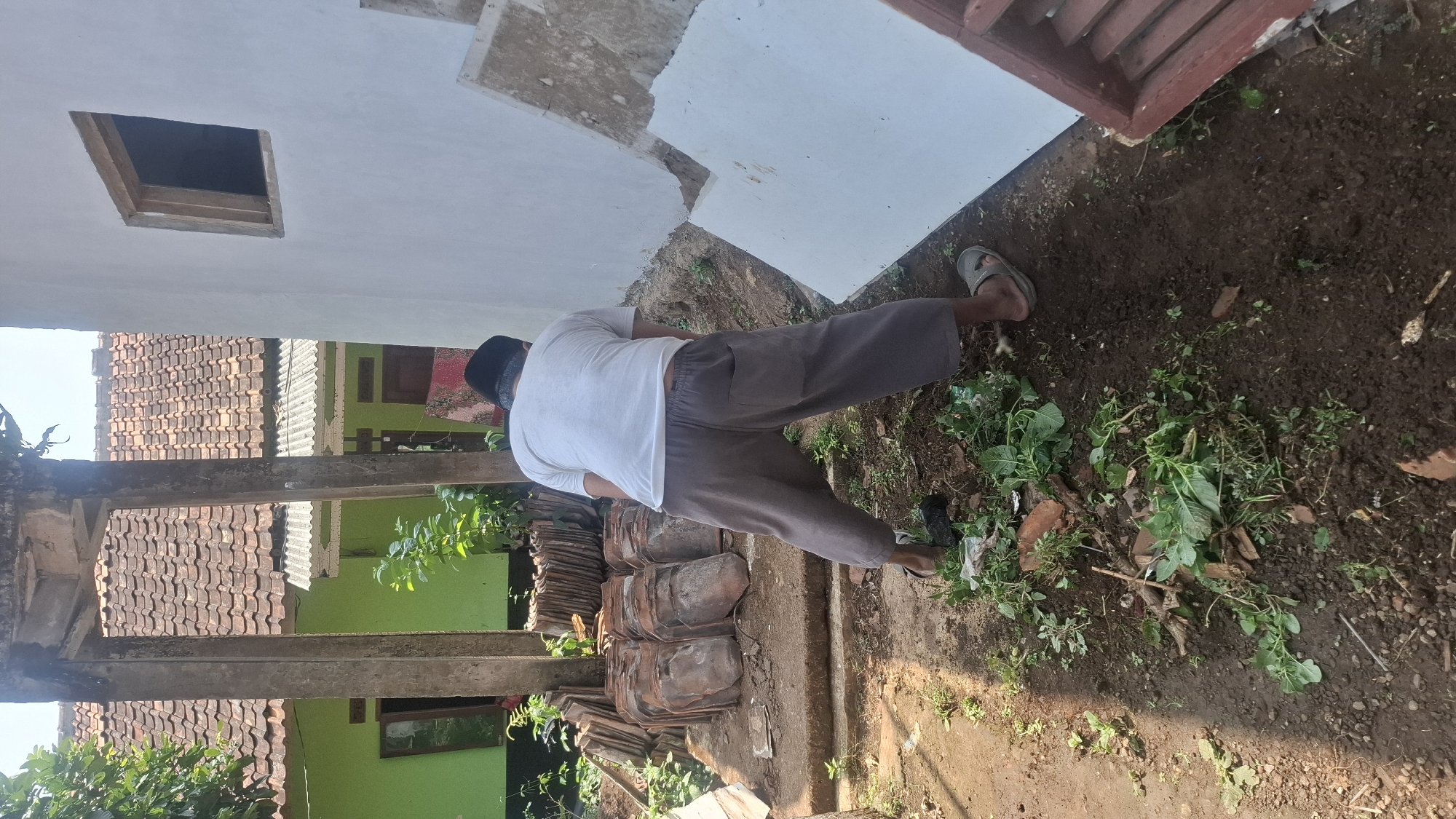 In Cibinong Hilir, Indonesia, a man wearing a white t-shirt and grey pants is seen from behind, bending over as he appears to be working outdoors. He has a black peci cap on his head and wears grey sandals. In the background, a partially constructed building with a white exterior wall and a window frame is visible. Adjacent to this building is a traditional Indonesian house with a green exterior and a terracotta tiled roof. Piles of terracotta roof tiles are stacked on a concrete platform to the left of the man. The ground is a mix of dirt and scattered debris, including plant matter and broken bricks, suggesting a construction or renovation site. The overall scene depicts an outdoor work environment under a clear sky.