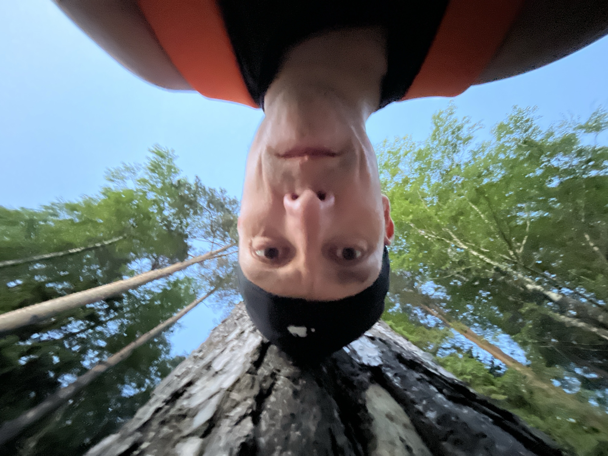 A low-angle, upside-down selfie of a person wearing a black head covering and an orange and black top. The person's face is centrally framed, with their head positioned near the bottom of the image. Behind the person is the textured bark of a tree trunk, and beyond that, a view of tall trees against a blue sky. The image suggests an outdoor environment. The location, Chaikovsky, Russia, is not explicitly identifiable from the visual content of the image.