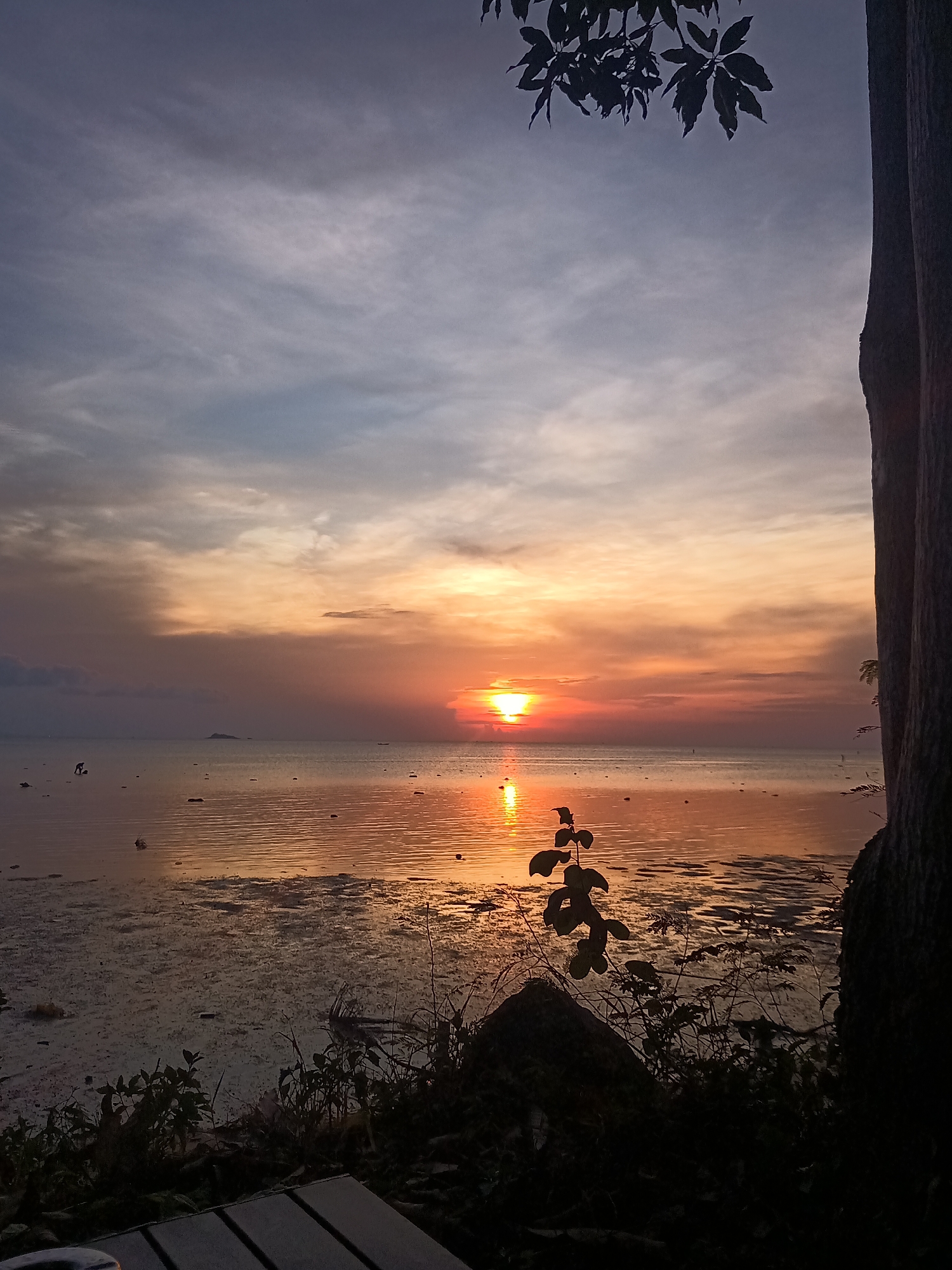 The image shows a sunset scene in Baan Sri Thanu, Thailand. The sun is setting over the ocean, casting a golden glow on the water and the sky. The sky is a mix of blue, orange, and yellow. The water is calm and reflective. There are some trees and plants in the foreground, silhouetted against the sunset. There are also some people in the distance, wading in the water. A person is wading through the water in the left side of the ocean, and a small boat is off the coast of the island.