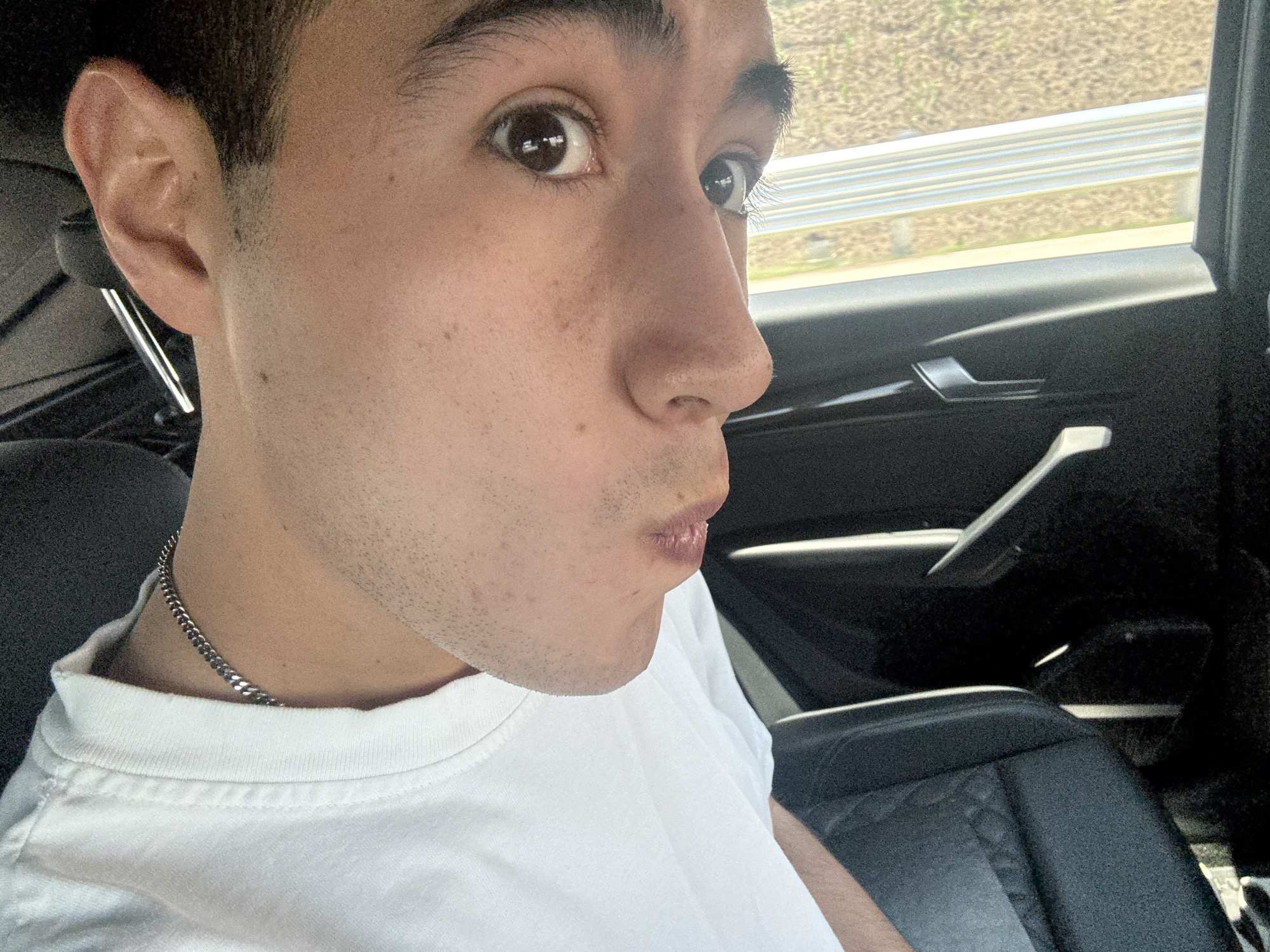 A close-up, eye-level shot captures a young man from the chest up, positioned slightly to the right within the frame, inside what appears to be a moving car. He has short, dark hair, prominent eyebrows, and brown eyes. His fair skin shows visible freckles or moles on his face and neck, with light stubble along his jawline. His lips are distinctly pursed in a playful "fish face" or pout, while his wide-open eyes look directly at the viewer, conveying a surprised or humorous expression.
He is wearing a plain white short-sleeved t-shirt and a silver-colored chain necklace around his neck. The setting is inside a vehicle; the car's dark interior, including part of a textured seat and a door panel with a silver handle, is visible. Through the window to his right, a bright, blurred landscape suggests the car is in motion during daytime. A prominent metal guardrail runs horizontally across the mid-ground outside, indicating a road or highway. Reflections in his eyes confirm bright, sunny weather. The activity depicted is a playful pose for a photo, likely a selfie, while traveling. There is no visible text in the image. The location context for this scene is San Francisco Ocotlán (Ocotlán), Mexico.