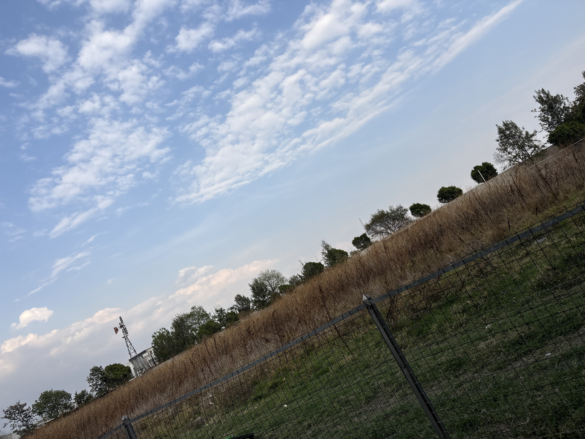 The image captures a rural scene in San Bernardino Tlaxcalancingo, Mexico. A chain-link fence stretches across the foreground, separating the viewer from a grassy area. Beyond the fence, a steep slope is covered in dry, brown vegetation. A row of trees and bushes lines the top of the slope, silhouetted against a bright blue sky dotted with white clouds. A metal windmill structure is visible amidst the trees on the left side of the slope. The angle of the shot is slightly tilted.