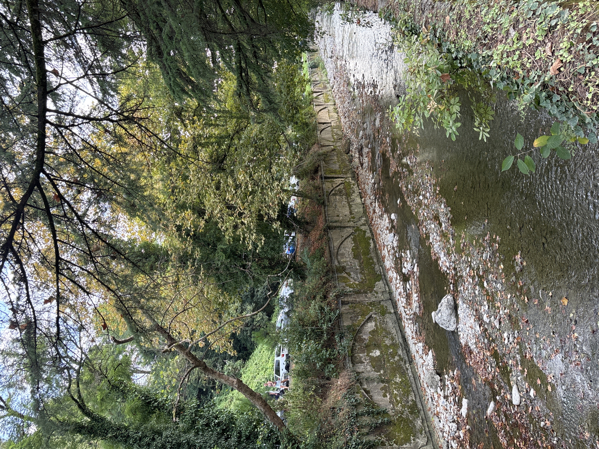 A street and a stream are visible in the city of Sochi, Russia. The stream has a rocky bottom and is surrounded by vegetation. Cars are parked along the street. A person is walking along the street. The scene is set in a natural environment with trees and foliage.