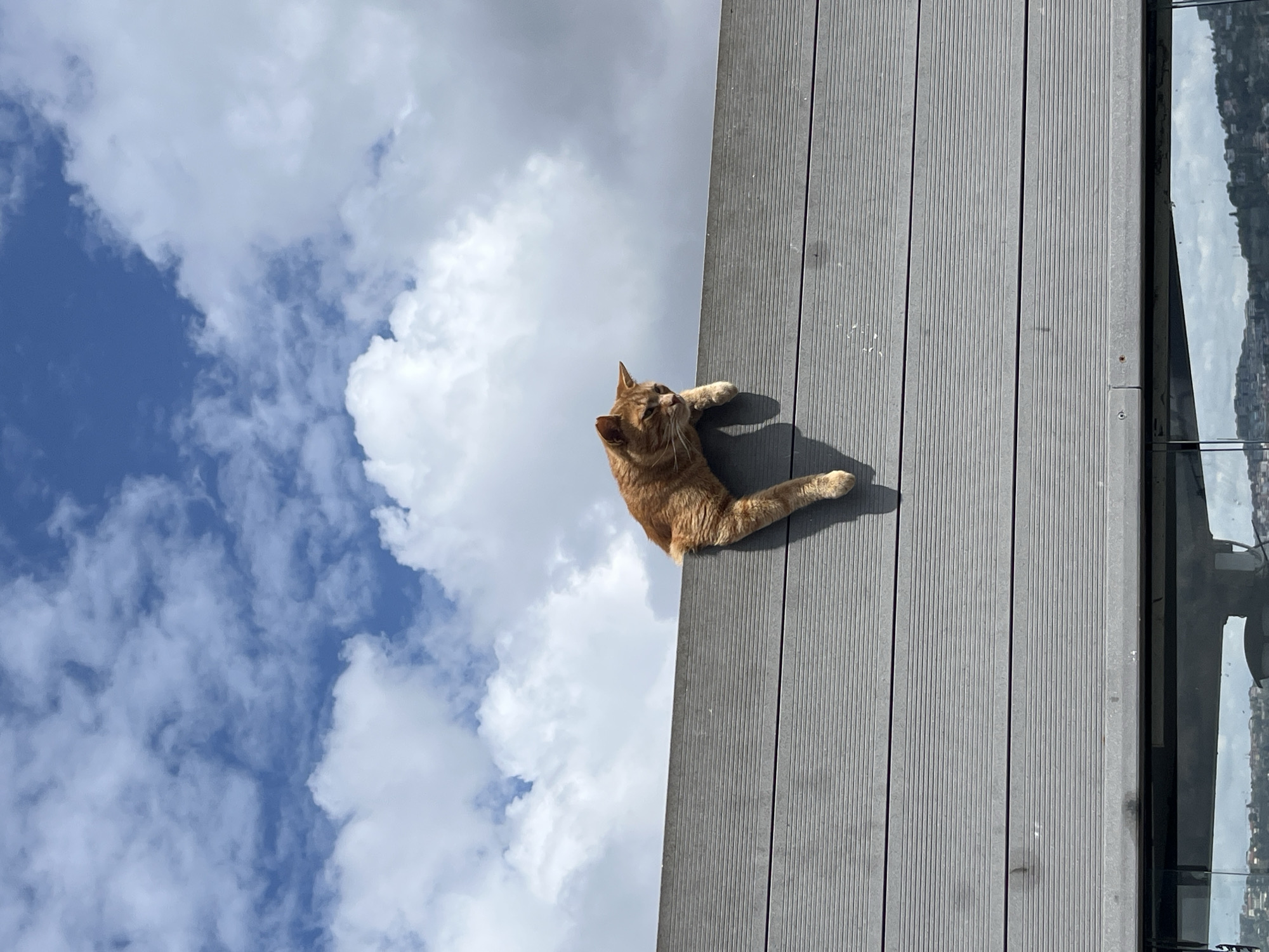 A medium shot depicts an orange tabby cat lying on a gray wooden deck. The deck is adjacent to a glass railing, offering a blurred view of a cityscape, presumed to be Beşiktaş, Turkey. The sky is visible, with blue patches interspersed with fluffy white clouds. The camera angle is unique, looking up at the cat from below, giving the impression that the cat is on the edge of a building.