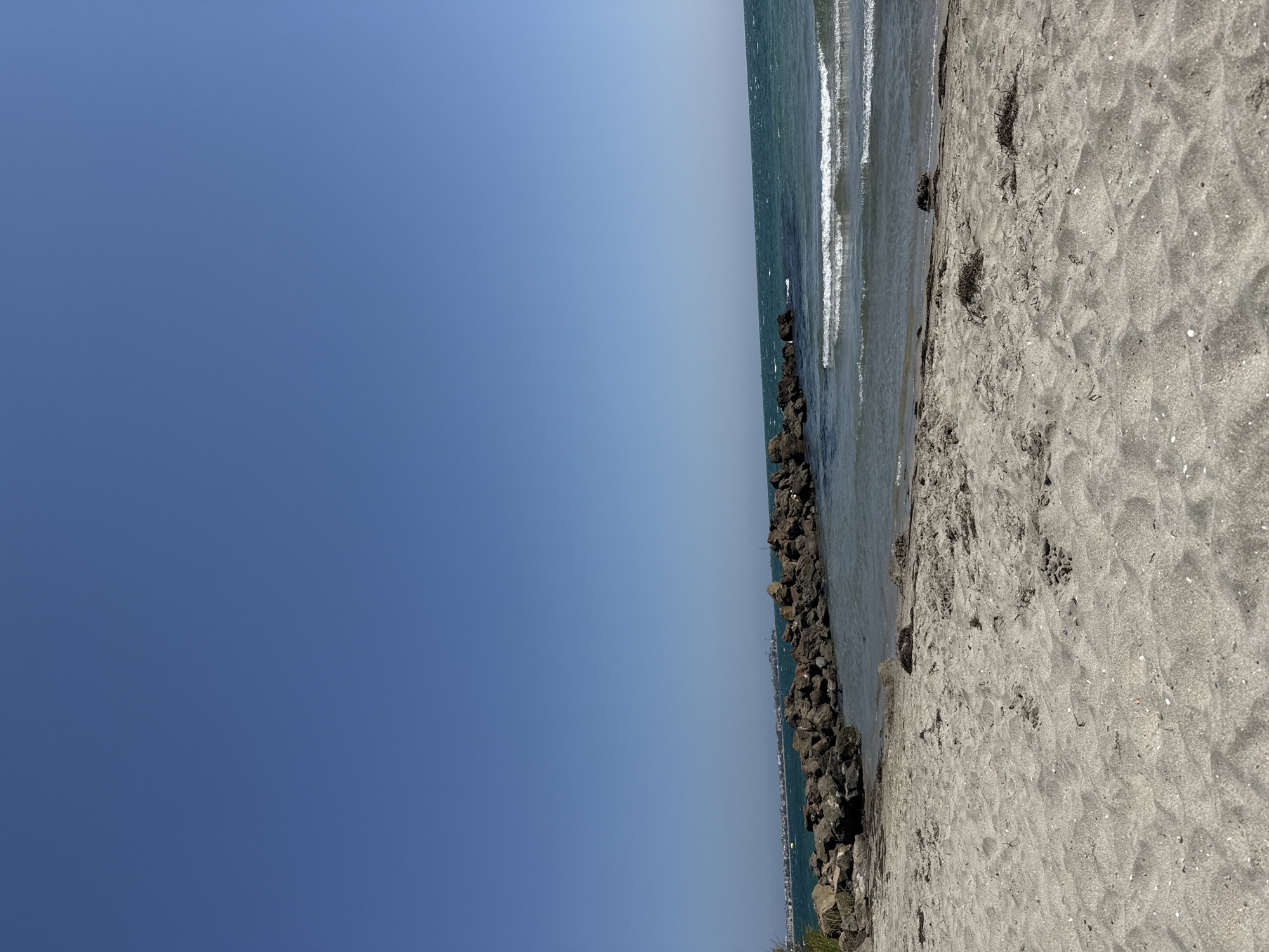 The image depicts a beach scene in Pomorie, Bulgaria. A sandy shore occupies the foreground, with scattered clumps of dried seaweed. Beyond the sand, a rocky breakwater extends into the turquoise water. Gentle waves are visible lapping the shore and breaking against the rocks. In the distance, a line of buildings and vegetation suggests the presence of the town of Pomorie along the coastline under a clear blue sky. There are no people or animals visible in the frame.