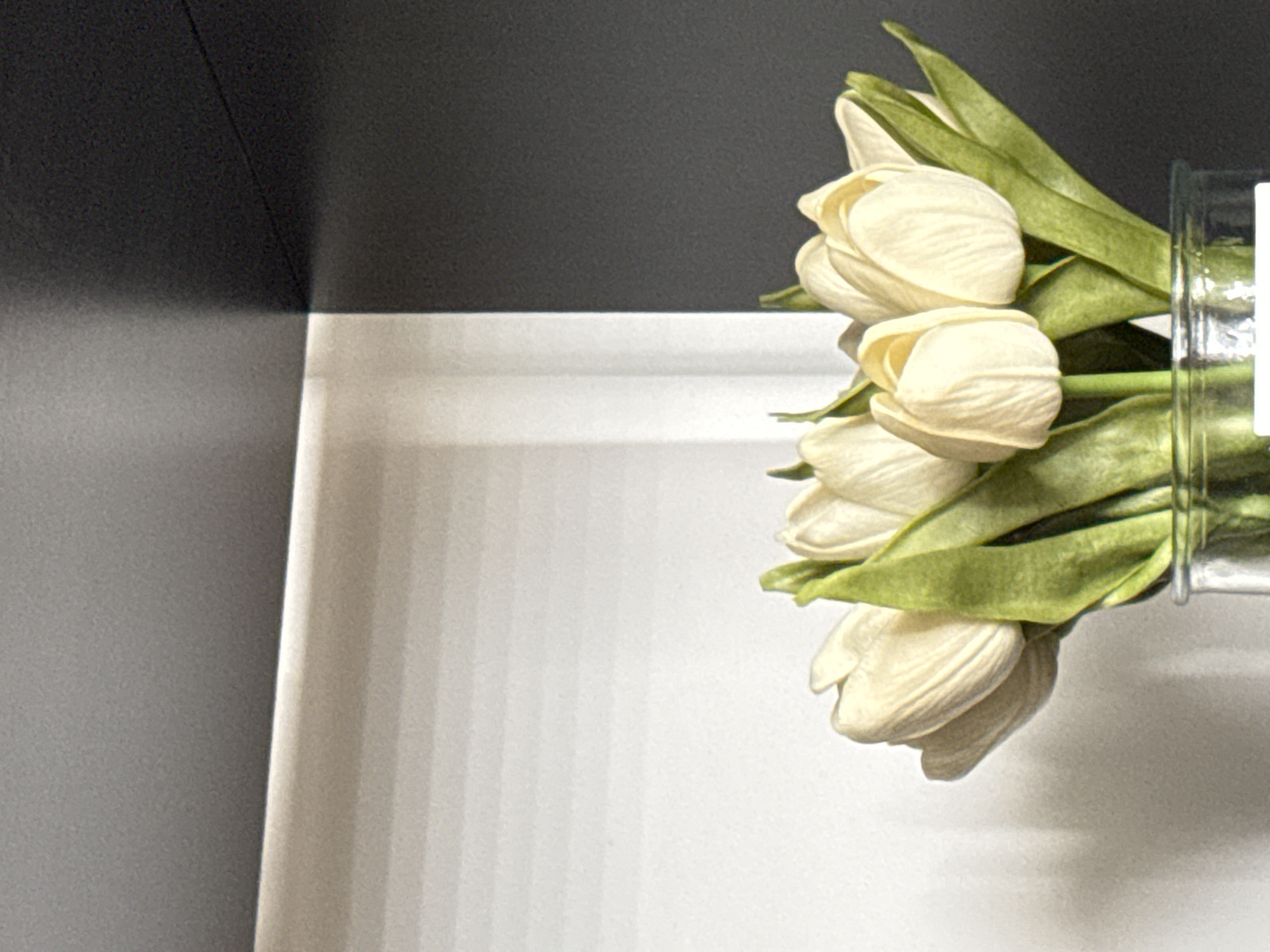 The image shows a close-up of a bouquet of cream-colored tulips in a clear glass vase. The tulips are arranged in a vase that is partially visible at the bottom of the frame. The background consists of a dark gray wall and a lighter, possibly white, wall with horizontal lines, creating a stark contrast. The lighting suggests an indoor setting, potentially a room or a studio. There is no information in the image to suggest a specific location in Bratislava, Slovakia.