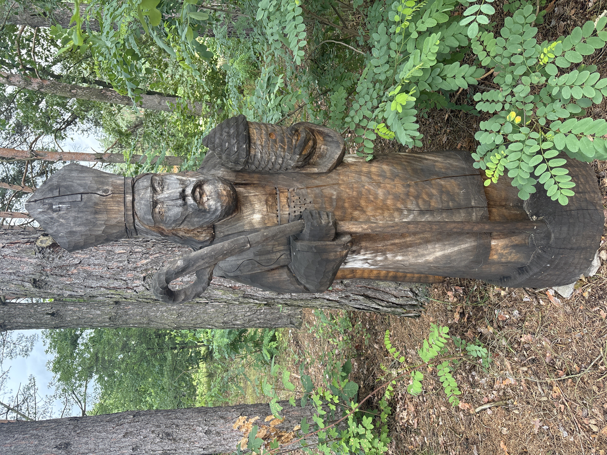 In Sielachowskie, Poland, a carved wooden sculpture of Saint Nicholas stands in a wooded area. The sculpture depicts him wearing a bishop's mitre and holding a crook in his left hand and a beehive in his right. He has a long beard and is dressed in robes. The sculpture is weathered and dark, with visible carving marks. It is placed amongst trees and dense green foliage, with pine needles and dry leaves covering the ground. The background consists of more trees and an overcast sky.