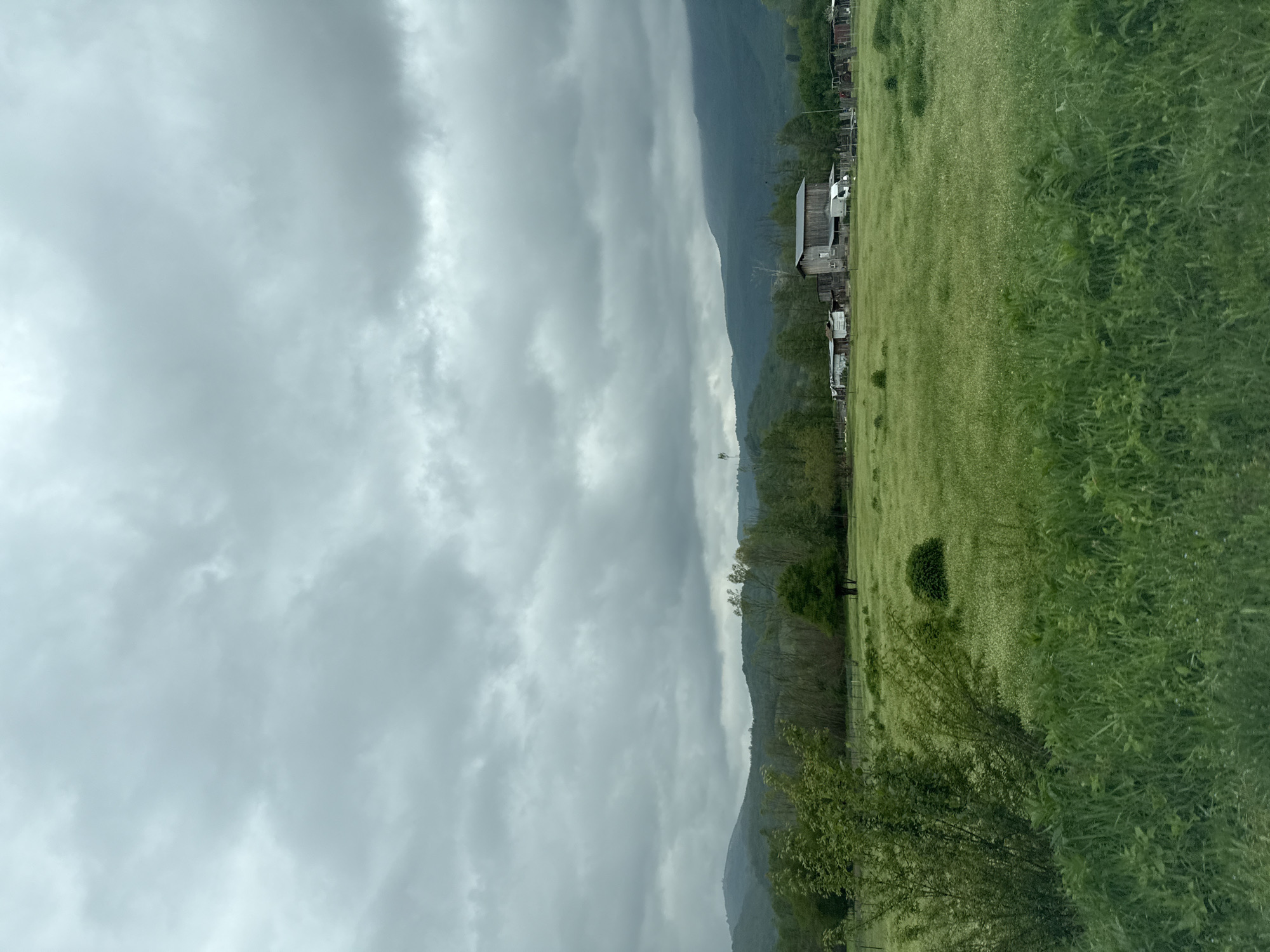The image depicts a landscape in Laga, Bulgaria, under an overcast sky. A mountain range runs diagonally from the upper center to the lower left. A field of dense green vegetation, possibly tall grass or wildflowers, stretches across the right side of the image. A cluster of buildings, including what appears to be a barn, is located along the boundary between the mountain and the field. Trees line the edge of the field in certain segments.