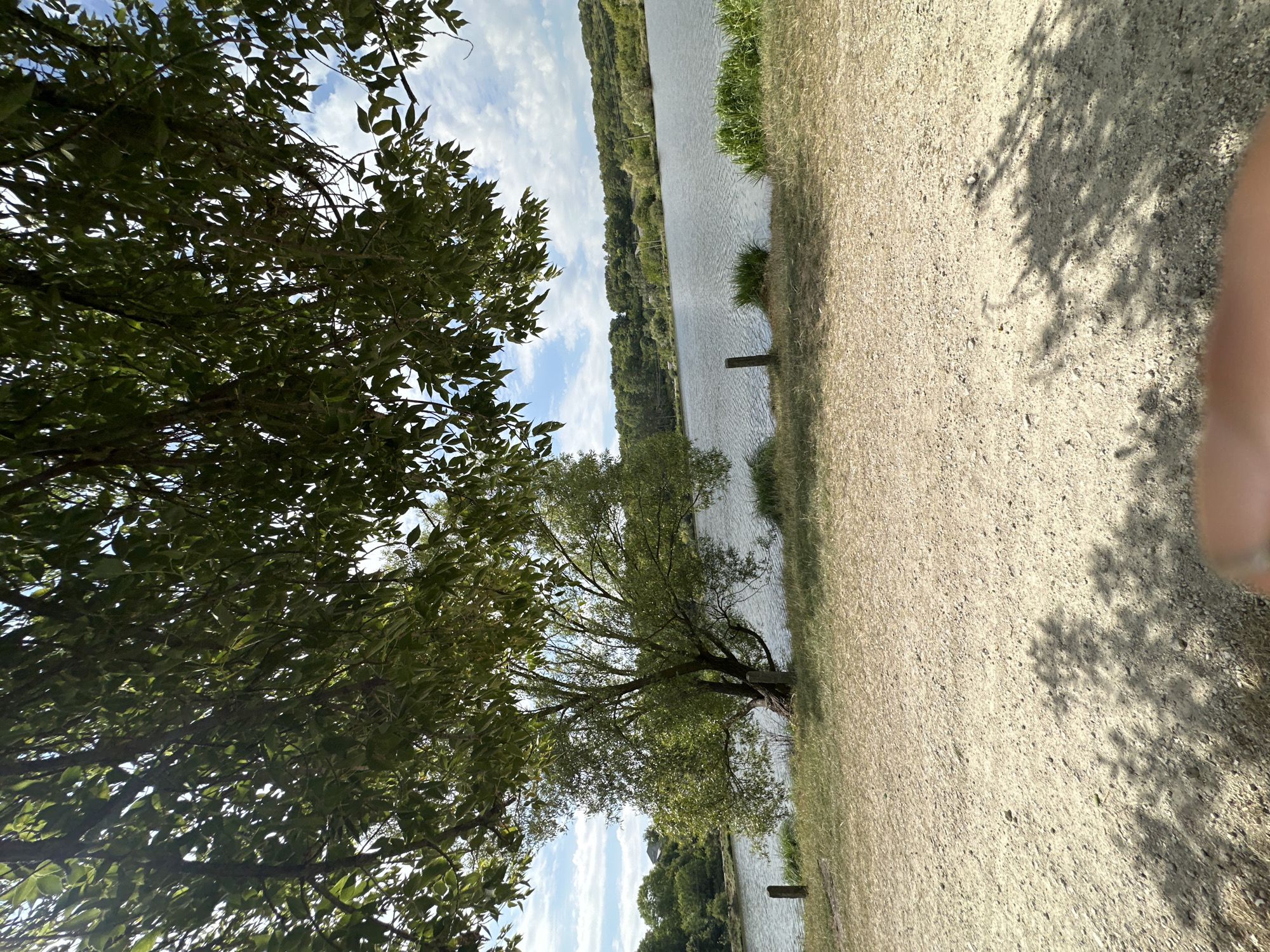 The image depicts a natural landscape with a body of water in the background, likely a lake or pond. The foreground consists of a sandy path with shadows cast by trees. On the left side of the image, there is a large tree with dense green foliage, and a smaller tree further back. The body of water is calm, with gentle ripples on its surface. The far bank of the water is lined with lush green trees and rolling hills under a partially cloudy sky. Two wooden posts are visible along the edge of the water, suggesting a path or boundary. The scene appears to be a park or recreational area. The image was taken in the vicinity of Makiv, Ukraine.