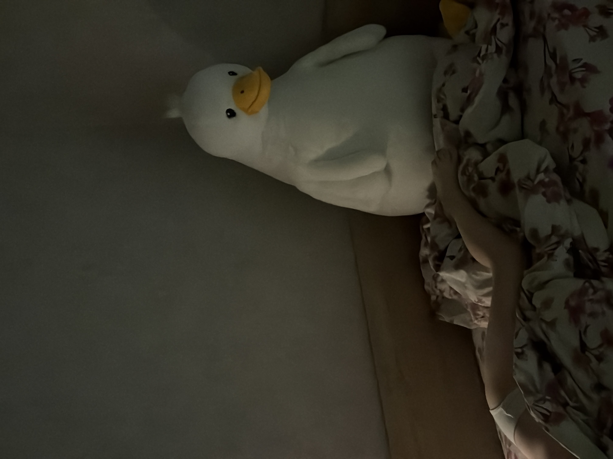 A white, plush toy goose with a yellow beak lies on a bed in a dimly lit room. The goose is partially covered by a floral-patterned blanket. A human leg, partially obscured by the blanket, is visible near the edge of the bed. The location is unspecified, and there is no information provided that indicates this is in Chaikovsky, Russia.