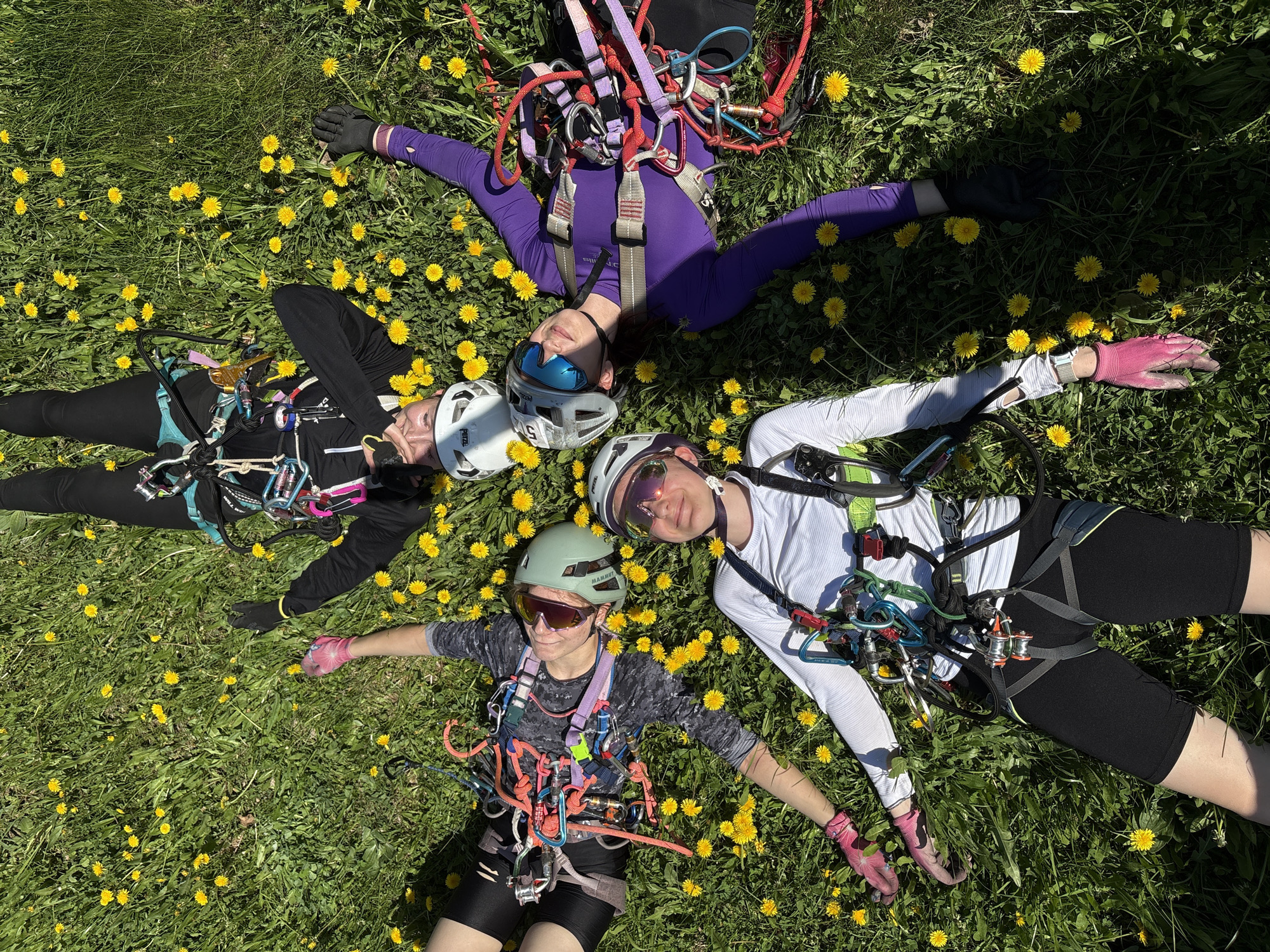 Four individuals, presumably climbers, are lying on their backs in a circle on a grassy field dotted with yellow dandelions. Each person is wearing climbing gear, including harnesses and helmets. One person wears a purple suit, one is in black, one is in white, and the last is wearing camouflage. The location is grassy and sunlit. The individuals are lying down as if forming the pedals of a flower. There are no objects or interactions suggesting a specific location in the city of Chaikovsky, Russia.
