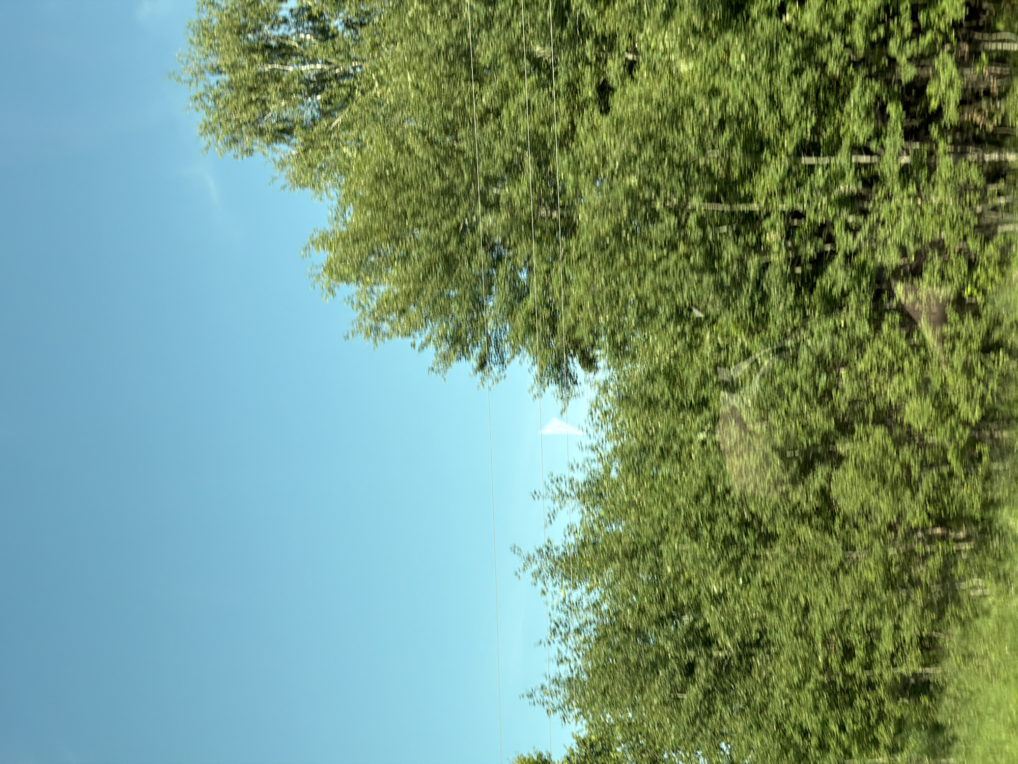 The image depicts a blurred view of trees and a clear blue sky, as if captured from a moving vehicle. The foliage is predominantly green, suggesting a summer or late spring setting. Several thin, horizontal lines, possibly power lines or wires, are visible across the scene, intersecting the trees. A small white flag or marker is faintly discernible amidst the trees. The lower part of the image shows green grass. There are no people or buildings visible. The scene conveys a sense of motion and an outdoor environment.