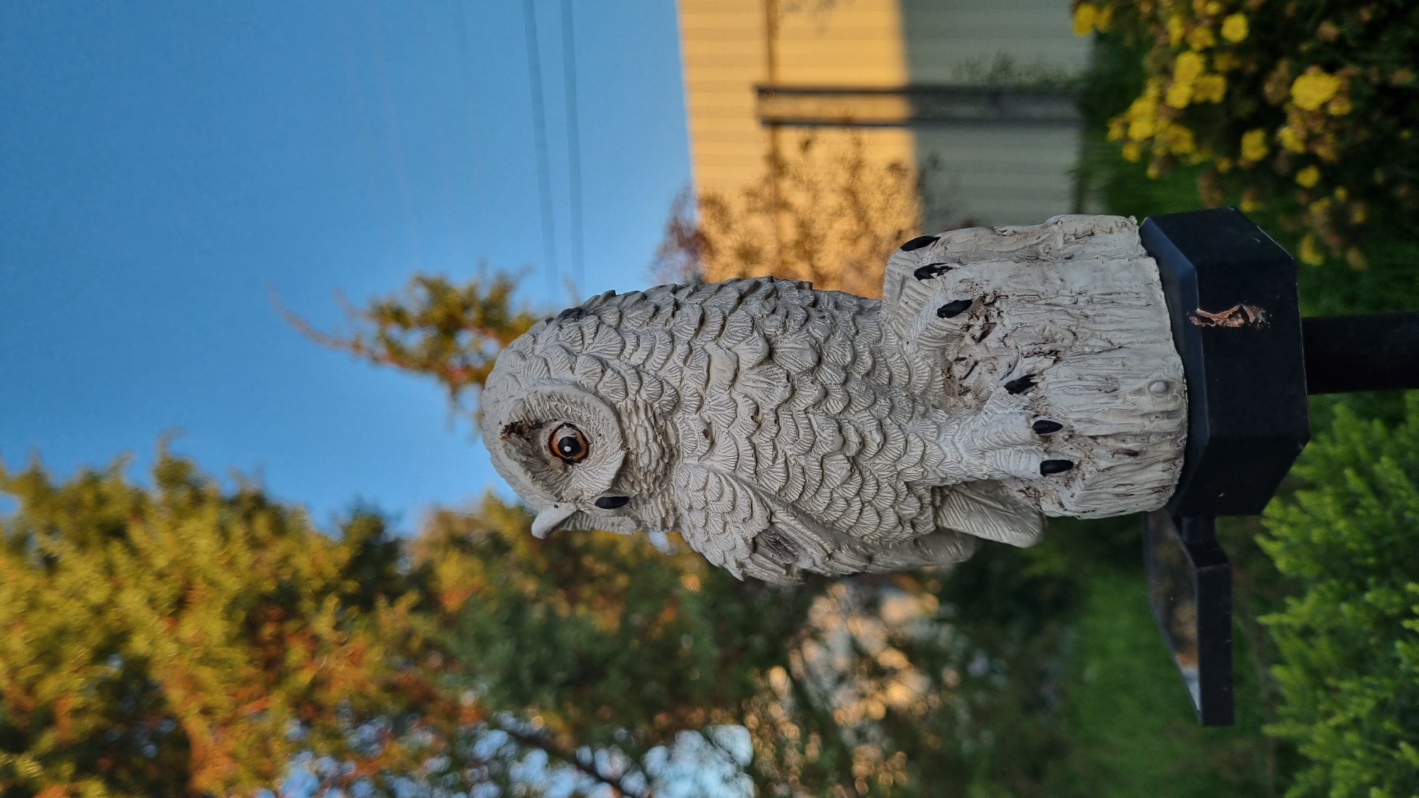 A garden statue of a white owl, perched on a faux tree stump, is the focal point of this outdoor scene. The owl is detailed with textured feathers and has bright orange eyes. The base of the statue is black, with a small solar panel attached to its left side. In the background, blurred green foliage and yellow flowers suggest a garden setting. Beyond the garden, a beige fence and trees are visible against a clear blue sky. The lighting indicates it is either sunrise or sunset, casting a warm glow on the scene. The image appears to be taken in Vysokoe, Russia, given its location context.