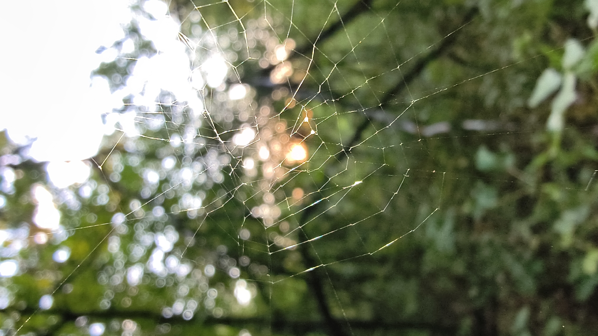 A close-up, macro shot of a delicate spiderweb, intricately spun and stretched across the frame, is the central subject. The web's fine silk threads catch the sunlight, creating a shimmering effect, with some strands exhibiting rainbow iridescence. The background is softly blurred, with a bokeh effect of green foliage and bright, out-of-focus sunlight, suggesting an outdoor, natural setting. The sunlight, particularly in the upper right quadrant, is intense and bright, with a warm, orange glow emanating from a central point in the background, likely the sun or a strong light source filtering through the leaves. The overall impression is one of nature's delicate artistry, captured in a moment of ethereal light. The image does not contain any people, actions, or interactions. The setting is an outdoor natural environment, potentially a forest or park, with trees and vegetation. It is not possible to determine the specific location within Mikhaylovka, Russia, from the visual information provided.