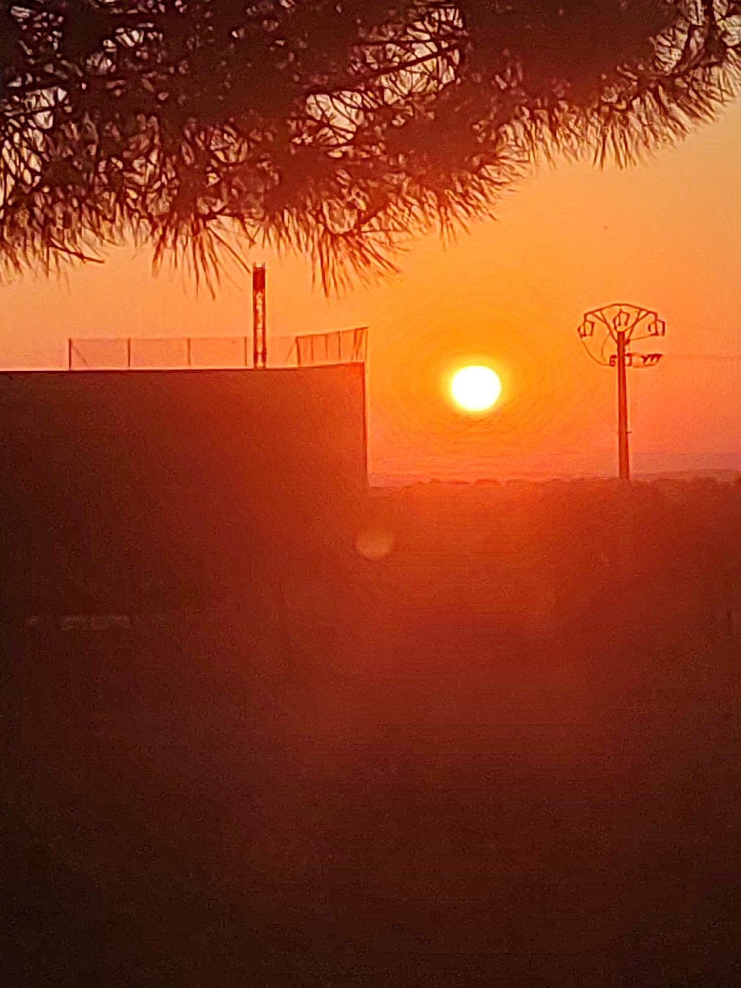 An outdoor, medium shot captures a vibrant sunset over the city of Sobradillo, Spain. The sky is a brilliant orange, gradually fading to a lighter hue near the horizon. A bright, luminous sun is positioned in the center-right of the frame, casting a warm glow across the scene. In the foreground, the dark silhouette of a building with a fence along its top edge is visible on the left. To the right of the sun, a utility pole with crossbars and insulators stands prominently against the sky. In the upper left corner, the dark, spiky silhouette of tree branches is present. The overall atmosphere is one of warmth and tranquility, dominated by the intense colors of the sunset.