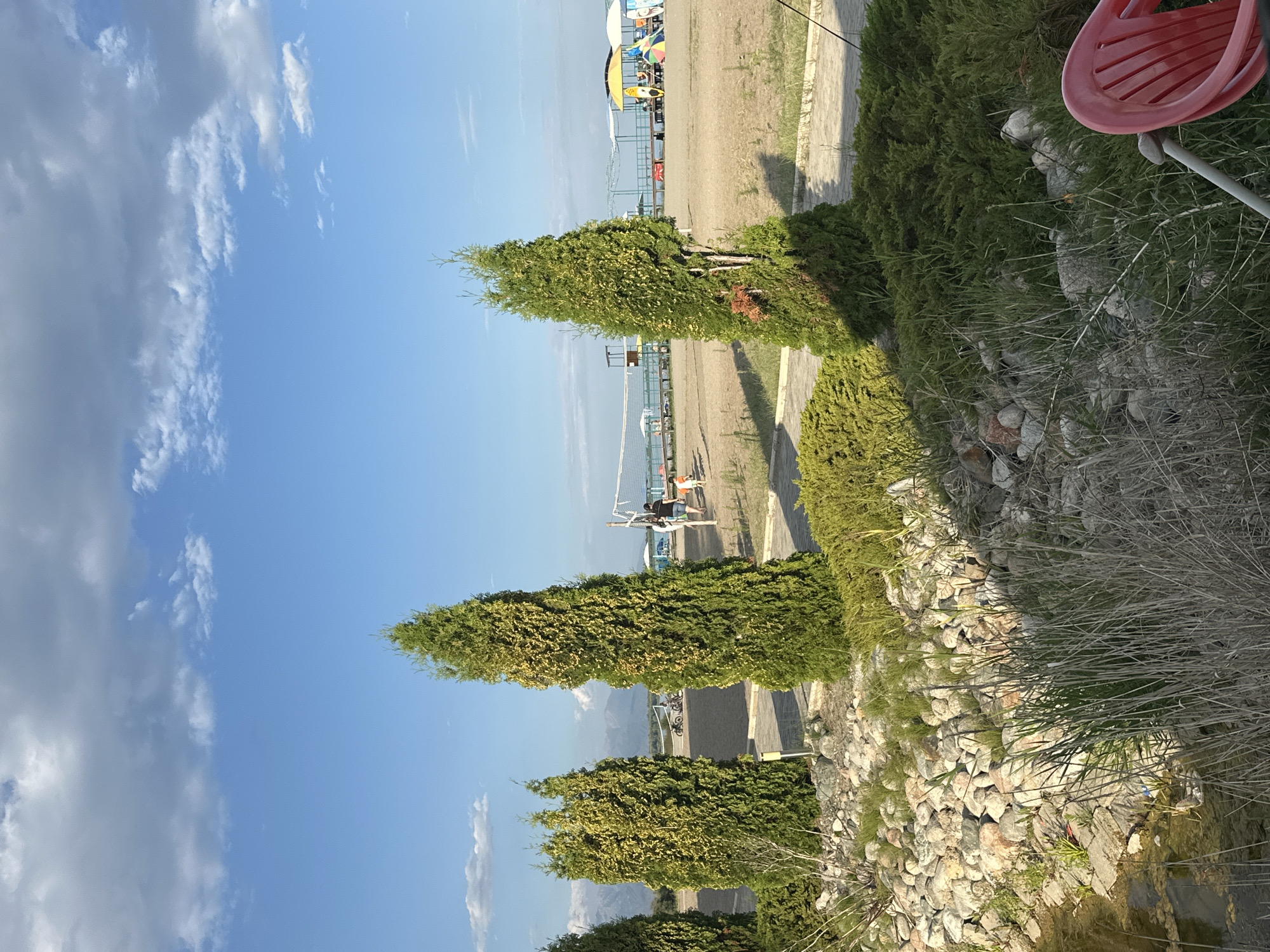 The image depicts a beach scene in Grigorevka, Kyrgyzstan. In the foreground, several tall, slender evergreen trees and manicured green bushes are visible, along with a rocky embankment and dry grass. A small body of water with some debris is also present in the lower left corner. Beyond the vegetation, a sandy beach stretches towards the background, where a volleyball net is set up. Several people are scattered across the beach, with some engaged in activities near the net and others walking. In the distance, a body of water, possibly a lake, is visible, with mountains forming the horizon under a partly cloudy sky. Several beach umbrellas and seating areas are also present on the sand. The lighting suggests it is late afternoon or early evening.