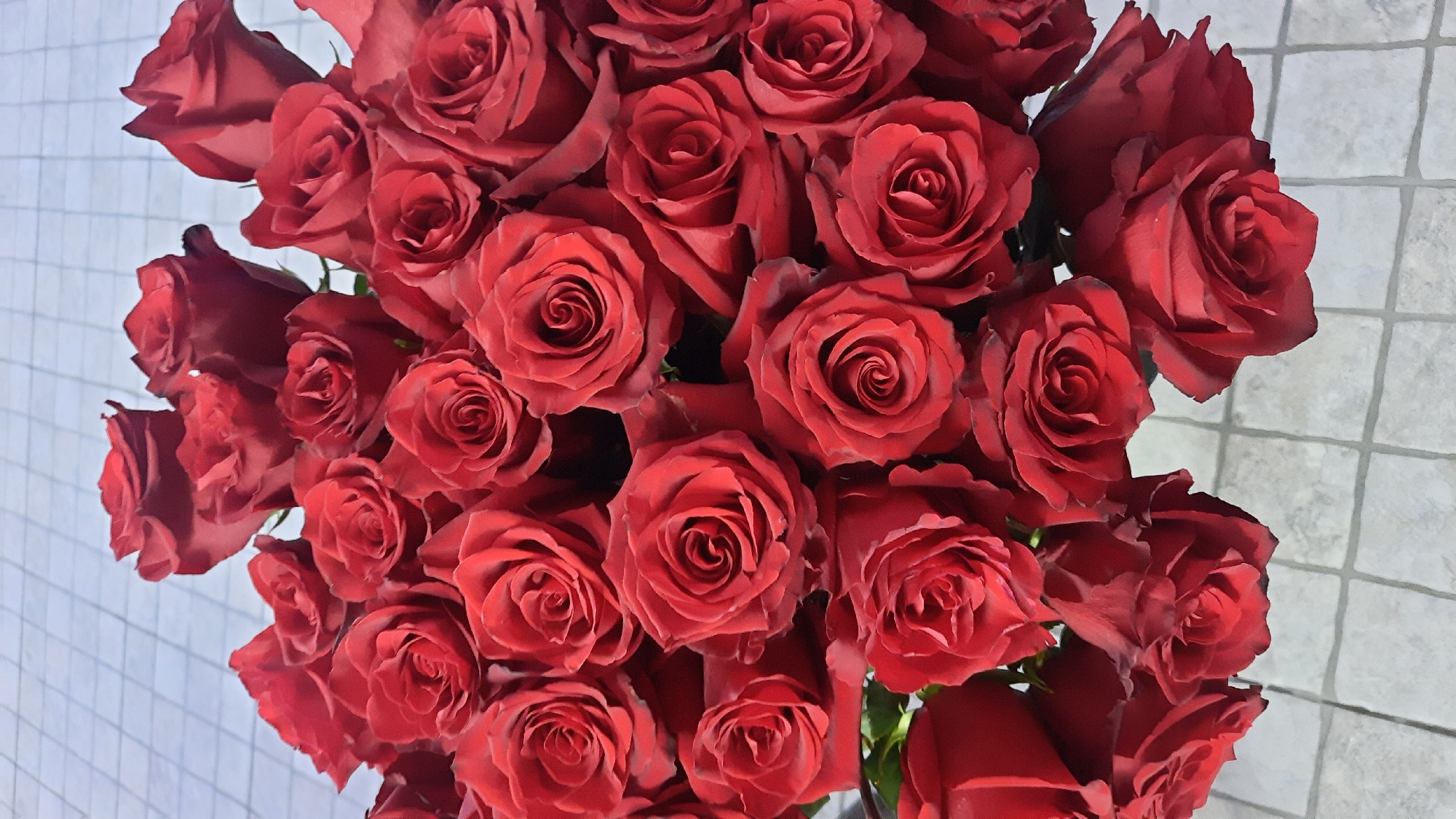 A bouquet of deep red roses is displayed against a pale, tiled background. The roses are varied in their openness, with some fully bloomed and others still in bud, showcasing intricate petal formations. The lighting casts subtle shadows, highlighting the velvety texture of the petals. The background appears to be a light gray surface with a repeating square tile pattern, creating a clean and neutral setting. The scene is static and does not depict any human activity or specific urban environment. The origin of the image within Жодзішкаўскі сельскі Савет, Belarus, is not visually identifiable.