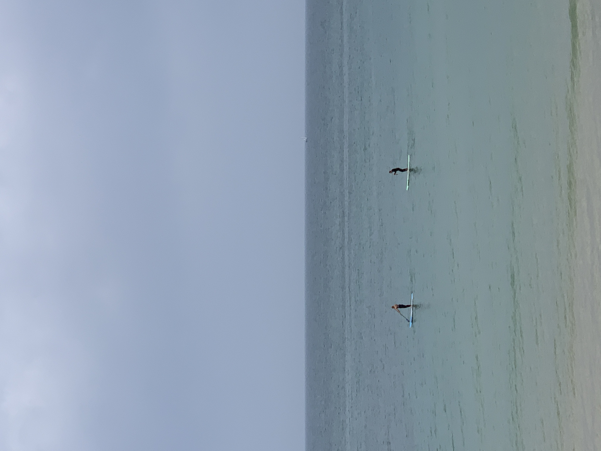 Two people are paddleboarding on the Mediterranean Sea off the coast of Tel Aviv, Israel. The sea is calm and grey, and the sky is overcast. The people are small in the frame, suggesting they are far from the camera.