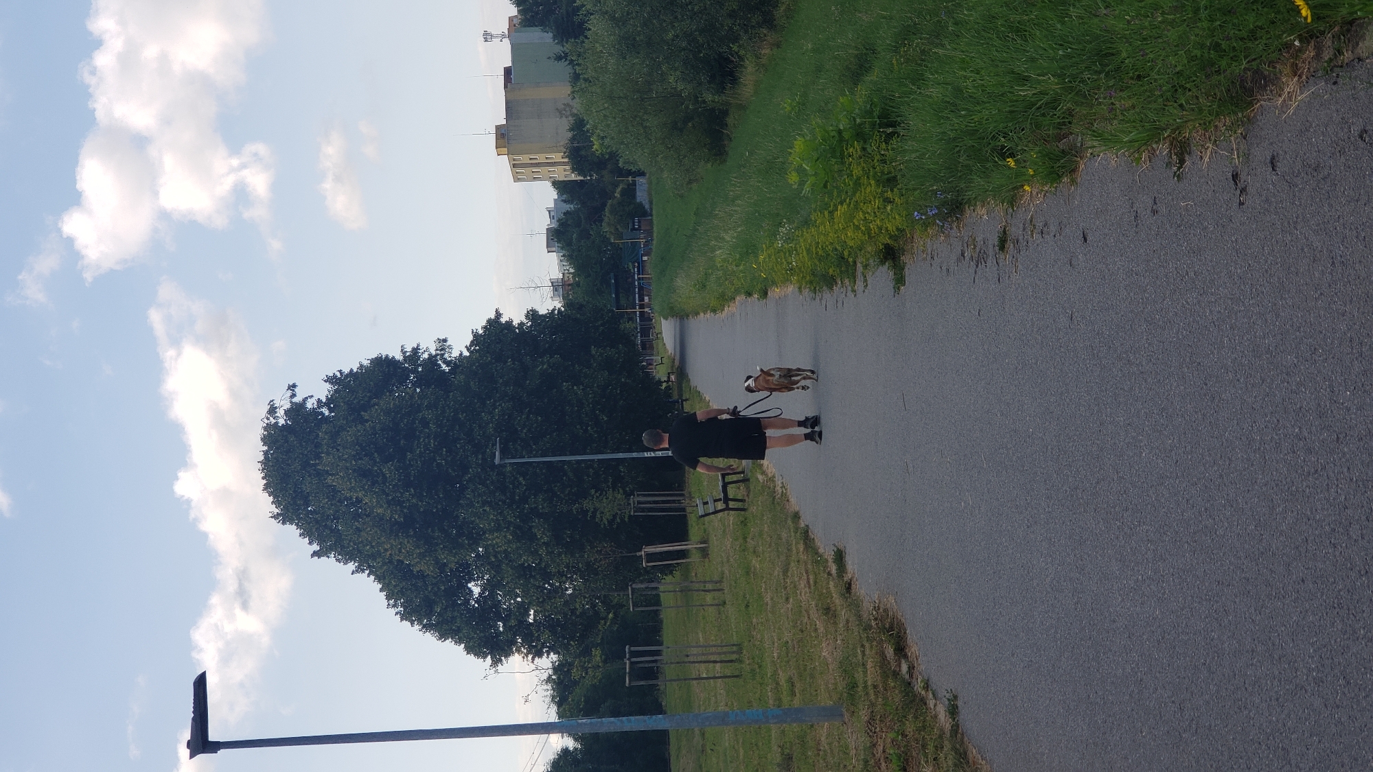 A person, wearing black shorts and a black t-shirt, walks a brown and white dog on a leash along a paved path in Prešov, Slovakia. The path is lined with green grass and some scattered small yellow flowers on the right side. On the left side of the path, there is a grassy area with several young trees supported by wooden stakes, and a dark-colored bench. Further back, a large, leafy tree dominates the scene. In the background, there are residential buildings, one multi-story building with yellow and green facades, and several tall structures with antennas. The sky is partly cloudy with white clouds against a light blue background. The lighting suggests it is late afternoon or early evening.