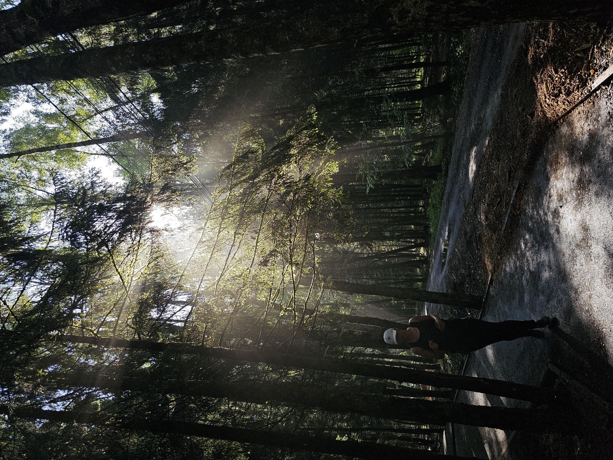 A lone individual wearing a dark tank top, black pants, and a white baseball cap is jogging on a gravel path in a dense forest. Sunlight streams through the canopy of tall trees, creating dramatic rays of light and dappled shadows on the path and surrounding foliage. The trees are predominantly coniferous, with some deciduous trees also visible. The path appears to be well-maintained and curves into the distance. The scene suggests an early morning or late afternoon setting, given the low angle of the sun. The location is identified as a forest in Trekhgorka, Russia.