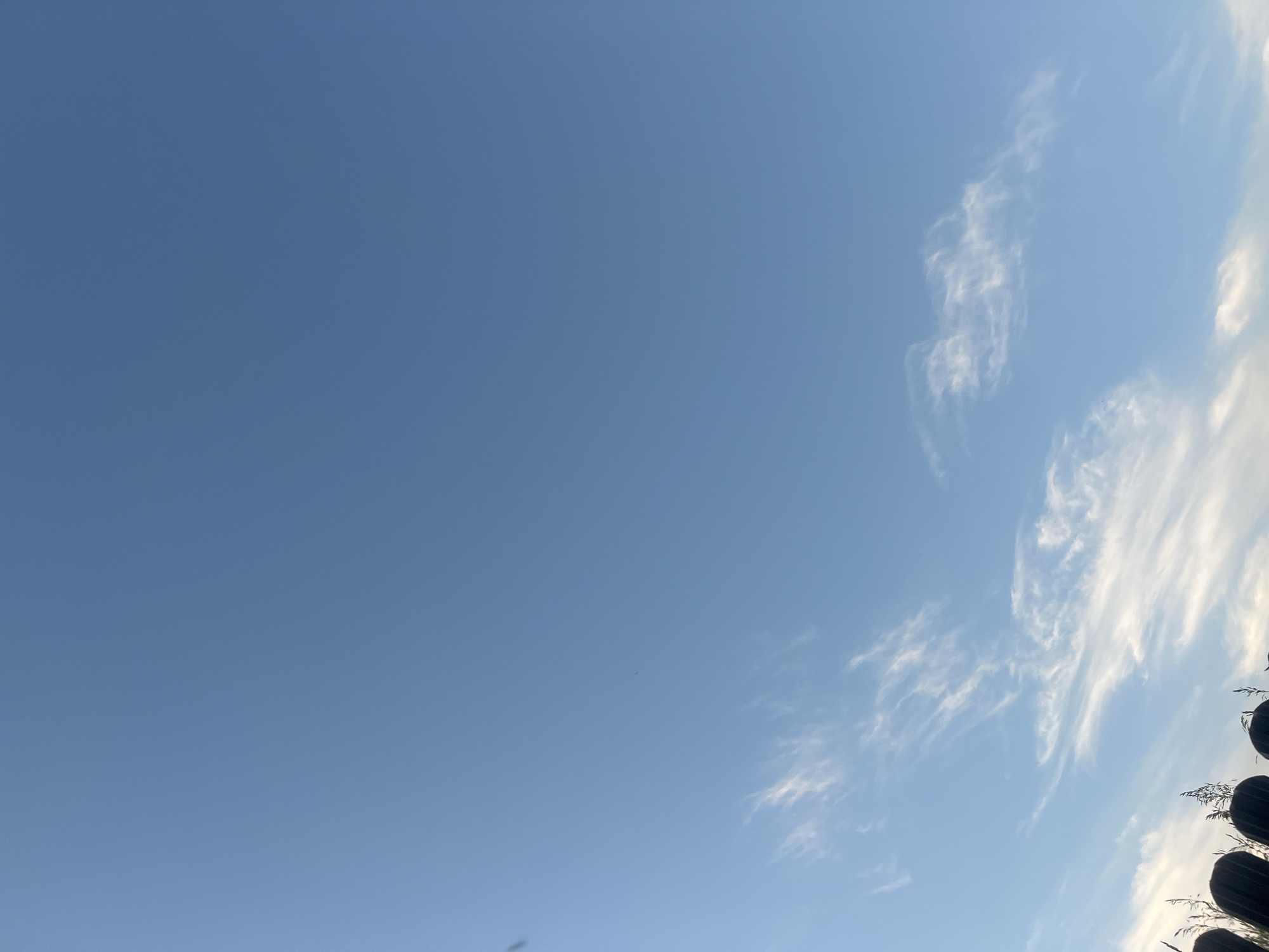 The image shows a bright blue sky with scattered wisps of white clouds. In the foreground, a dark, indistinct line of objects, possibly a fence or railing, runs across the bottom of the frame, with blades of grass or reeds rising above it. The lighting suggests it is daytime, possibly late afternoon or early morning due to the angle of the light and the overall clarity of the sky. There are no people or animals visible. The scene appears to be an outdoor location, possibly on the outskirts of Bârnova, Romania, given the presence of vegetation and the open sky.