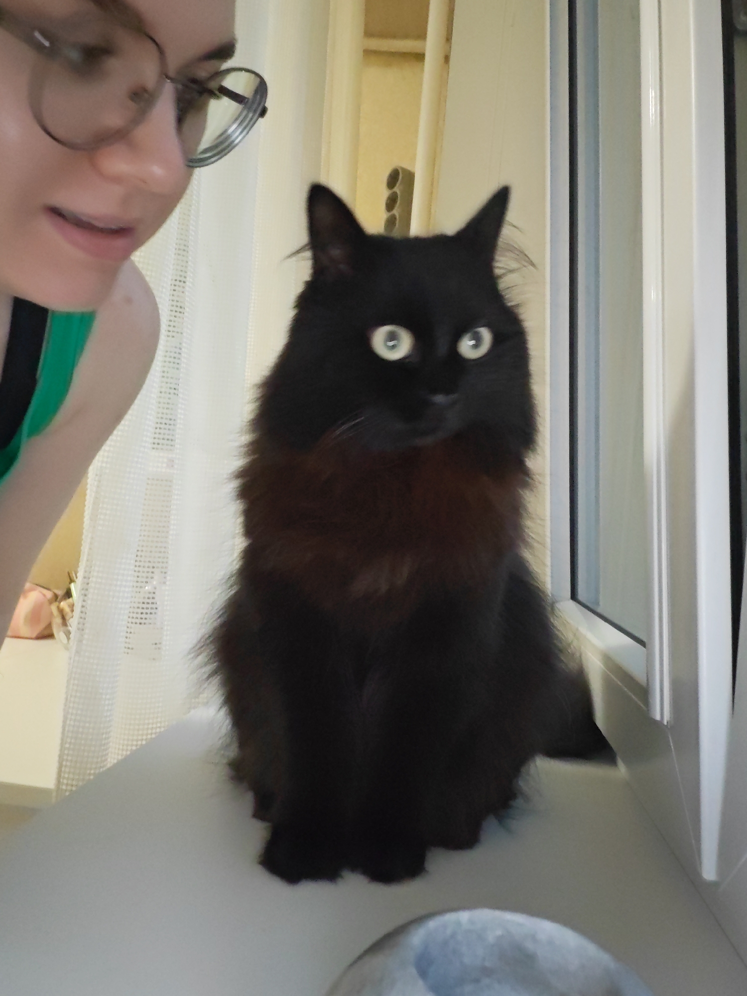 A black cat with bright green eyes sits on a white windowsill, looking slightly to the right. To the left of the cat, a person's face is visible, wearing large, round glasses and a green top. The person is looking down and to the left, with their mouth slightly open. The background consists of a white curtain and a window frame. The scene appears to be indoors, likely in a residential setting. The provided context suggests this image was taken in Bataysk, Russia.