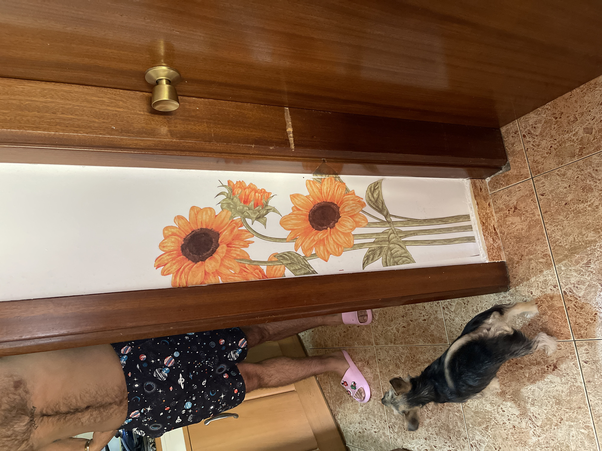 A man is standing in a doorway, partially visible. He is wearing dark patterned shorts with celestial imagery and pink slides. Next to him, a small dog is looking up towards the man. The wall features a decal of sunflowers. A wooden doorframe with a brass doorknob is visible. The floor is tiled. This scene appears to be indoors, possibly in a residential setting in Santa Coloma de Gramenet, Spain.