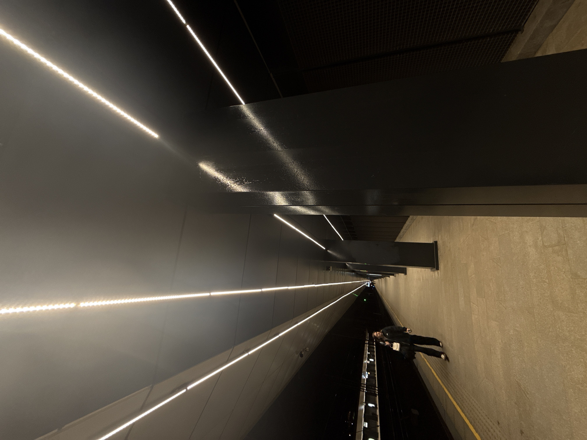 The image depicts a scene in what appears to be a metro station in Moscow, Russia. The environment is characterized by modern architectural design with long, linear LED lighting fixtures along the ceiling and walls, creating a perspective that draws the eye into the distance.
The dominant surfaces are dark, likely a dark gray or black. The lighting reflects off these surfaces.
In the lower right portion of the image, a person is visible standing on the platform, dressed in dark clothing. The platform itself is made of stone or tile.
The scene is still and devoid of activity, except for the presence of the person on the platform. The lighting and architectural elements emphasize depth and a sense of space.