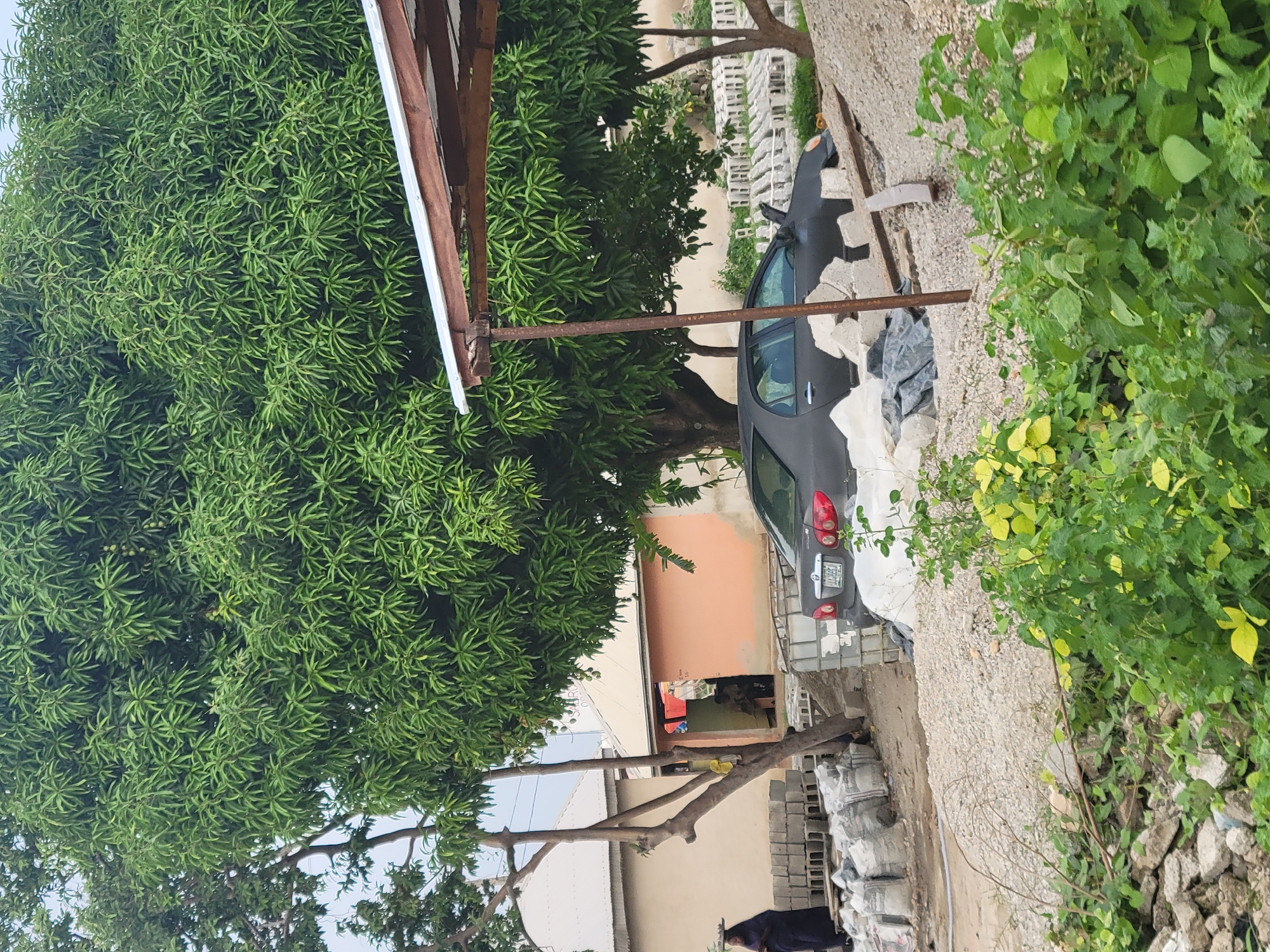 A medium shot captures an outdoor scene in Suleja, Nigeria, dominated by a large, leafy tree. In the foreground, lush green foliage and some scattered rocks create a natural border. To the left, a person in dark clothing with a head covering stands near stacks of building materials, including bags and what appear to be concrete blocks. Behind them, a building with a cream-colored facade is visible. A single-trunked tree with sparse branches stands in front of this building.
Further into the scene, a pale orange building with an open doorway is situated. Through the doorway, it's possible to see one or two figures and some items inside. Adjacent to this building is a dark gray sedan car. The car is partially obscured by construction debris, including concrete blocks and a large tarp. The car's rear is visible, with its taillights illuminated. Behind the car, more stacks of concrete blocks are arranged.
The overall environment suggests a residential or semi-commercial area with ongoing construction or renovation activities. The background shows glimpses of other structures and a cloudy sky. The image appears to be taken during daylight.