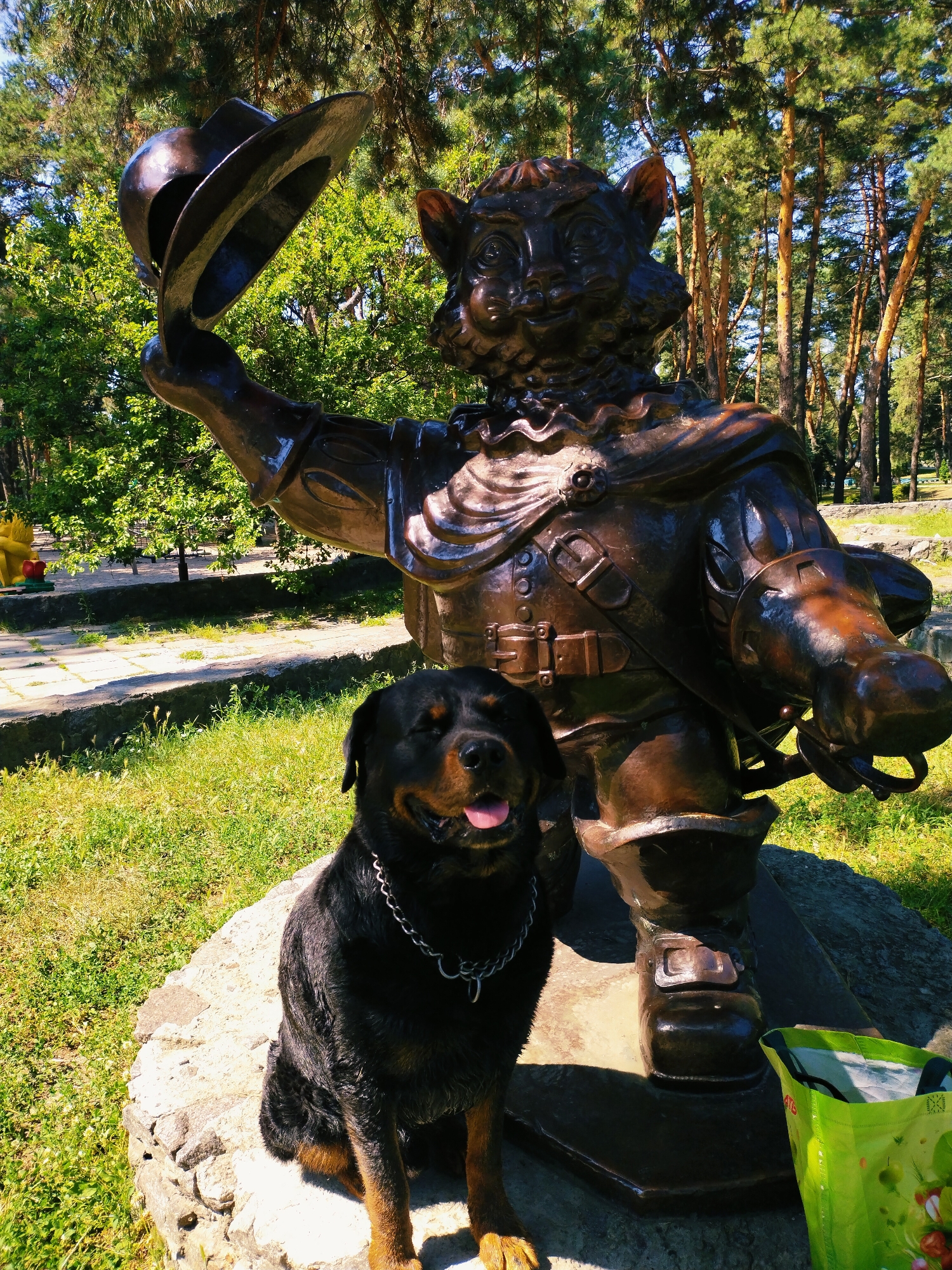 A rottweiler sits on a stone base next to a bronze statue of a cat-like character wearing historical clothing and a hat, in a park-like setting with trees and grass. The statue is positioned in front of a background of tall pine trees. A green shopping bag is visible on the right side of the image. The scene appears to be outdoors, likely in a public space. The dog is facing the camera with its tongue hanging out. The statue is in a dynamic pose, holding its hat in its raised hand. The overall lighting suggests it is a sunny day. This statue is located in the city of Horishni Plavni, Ukraine, within a park area.