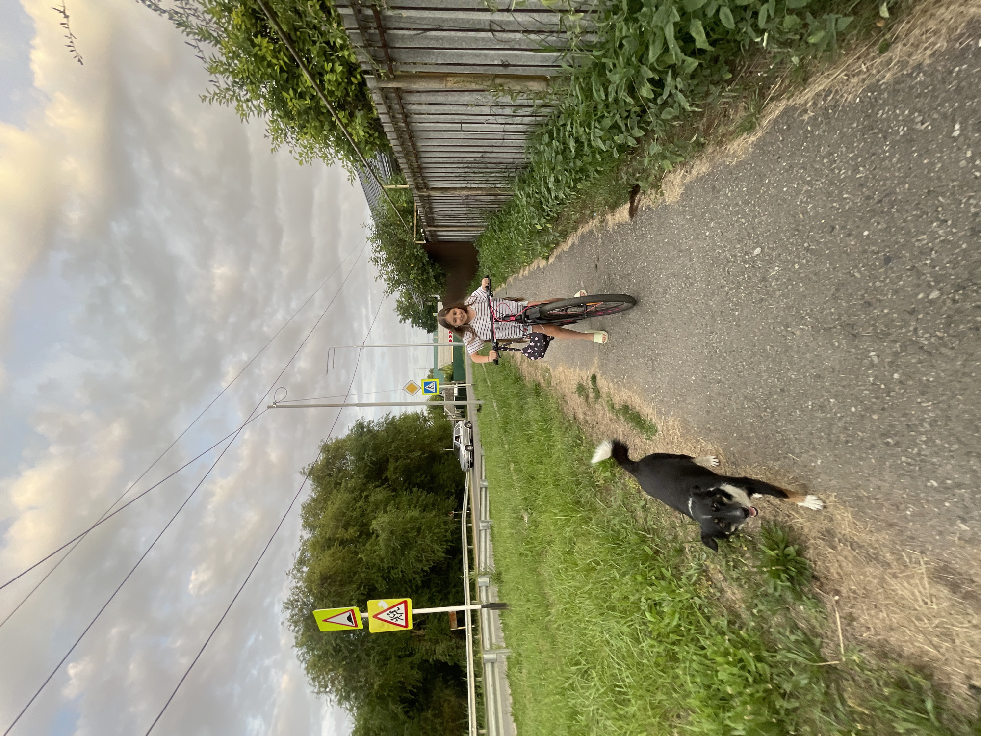 A young girl is riding a bicycle down a paved path. She is wearing a striped t-shirt and shorts. A black and tan dog is running alongside the path to her left, looking at the camera. The path is bordered by tall green grass and foliage on the left, and a metal fence on the right. Overhead, power lines crisscross the cloudy sky. Road signs are visible in the background, including a yellow sign with a black triangle indicating a speed bump and another yellow sign with a red border depicting children crossing. A silver car is parked on the road in the distance. The scene appears to be in a rural or suburban area in Donskoye, Russia.