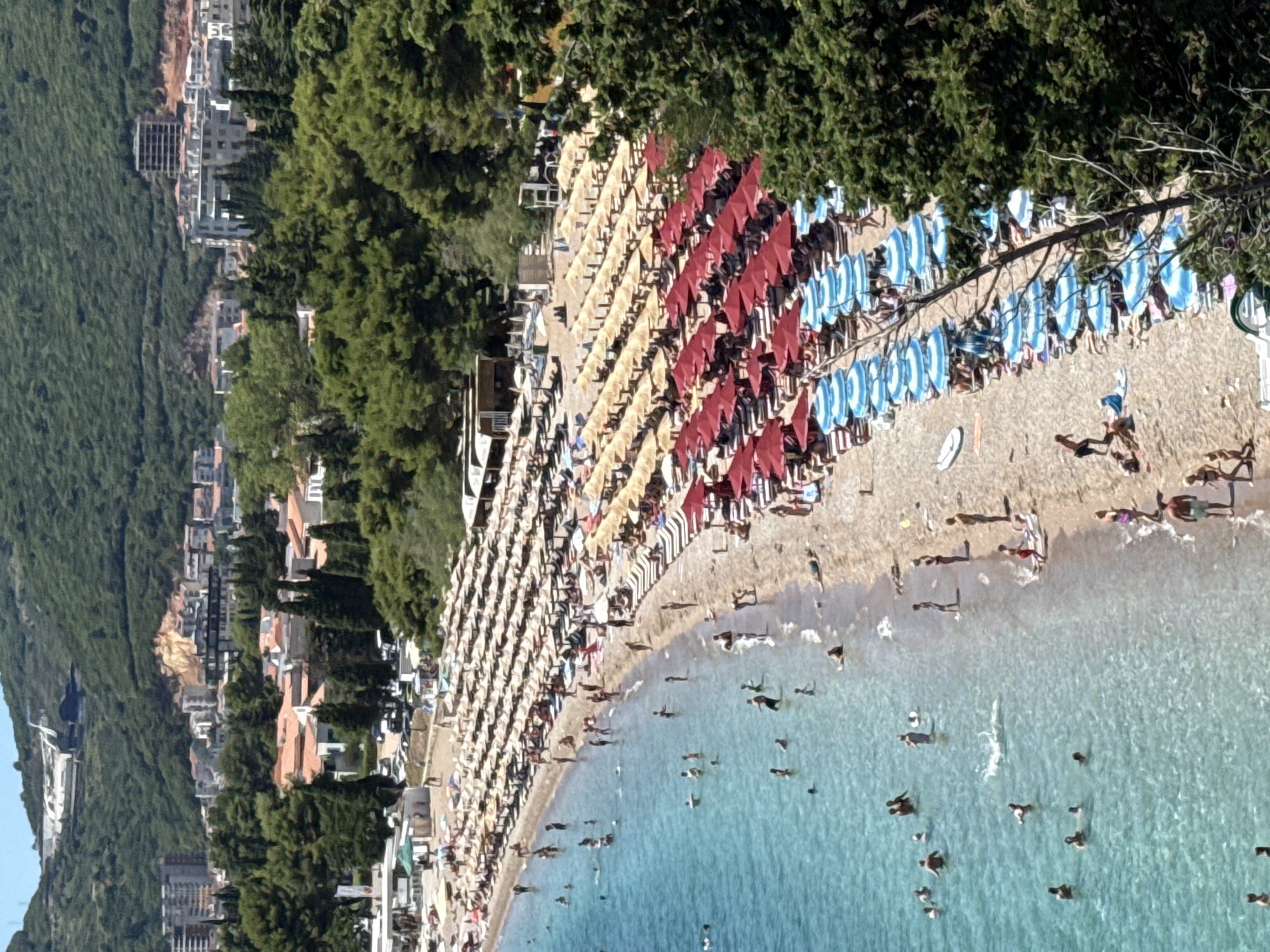 The image shows a panoramic view of a crowded beach in Budva, Montenegro, during daylight. The beach is lined with rows of lounge chairs and umbrellas, with a section of red umbrellas and another section of blue and white striped umbrellas. Many people are sunbathing, swimming in the clear turquoise water, or walking along the shore. In the background, there are buildings and lush green hills, indicative of a coastal Mediterranean setting. A few trees are visible on the right side of the frame, providing shade.
