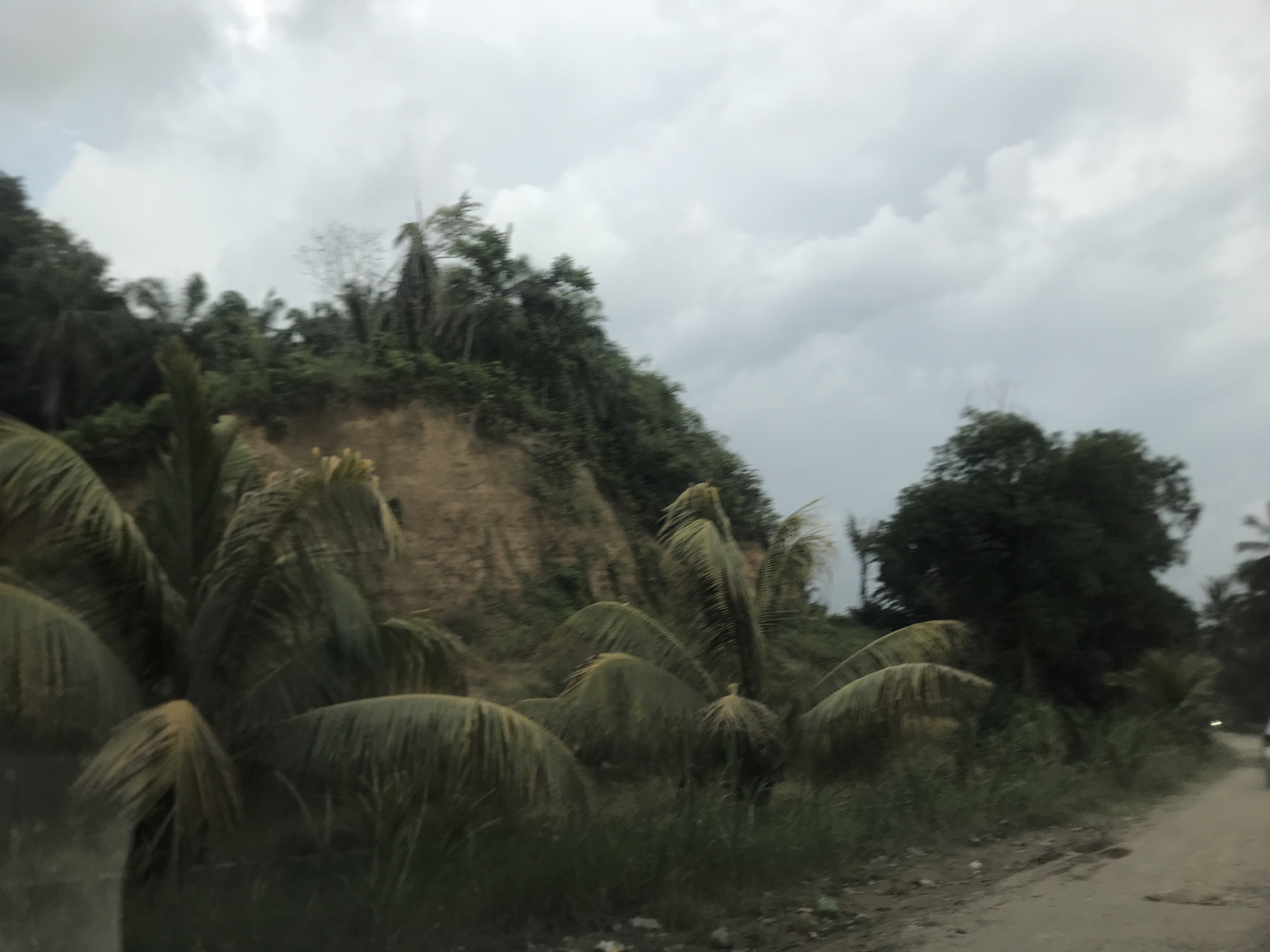 The image depicts a roadside scene in Kruengbeukah, Indonesia. The foreground features lush, low-lying vegetation with palm fronds. Behind the vegetation is a sloping embankment covered in dense, tropical greenery. A dirt road is visible in the lower right of the frame. The sky is overcast with heavy clouds.