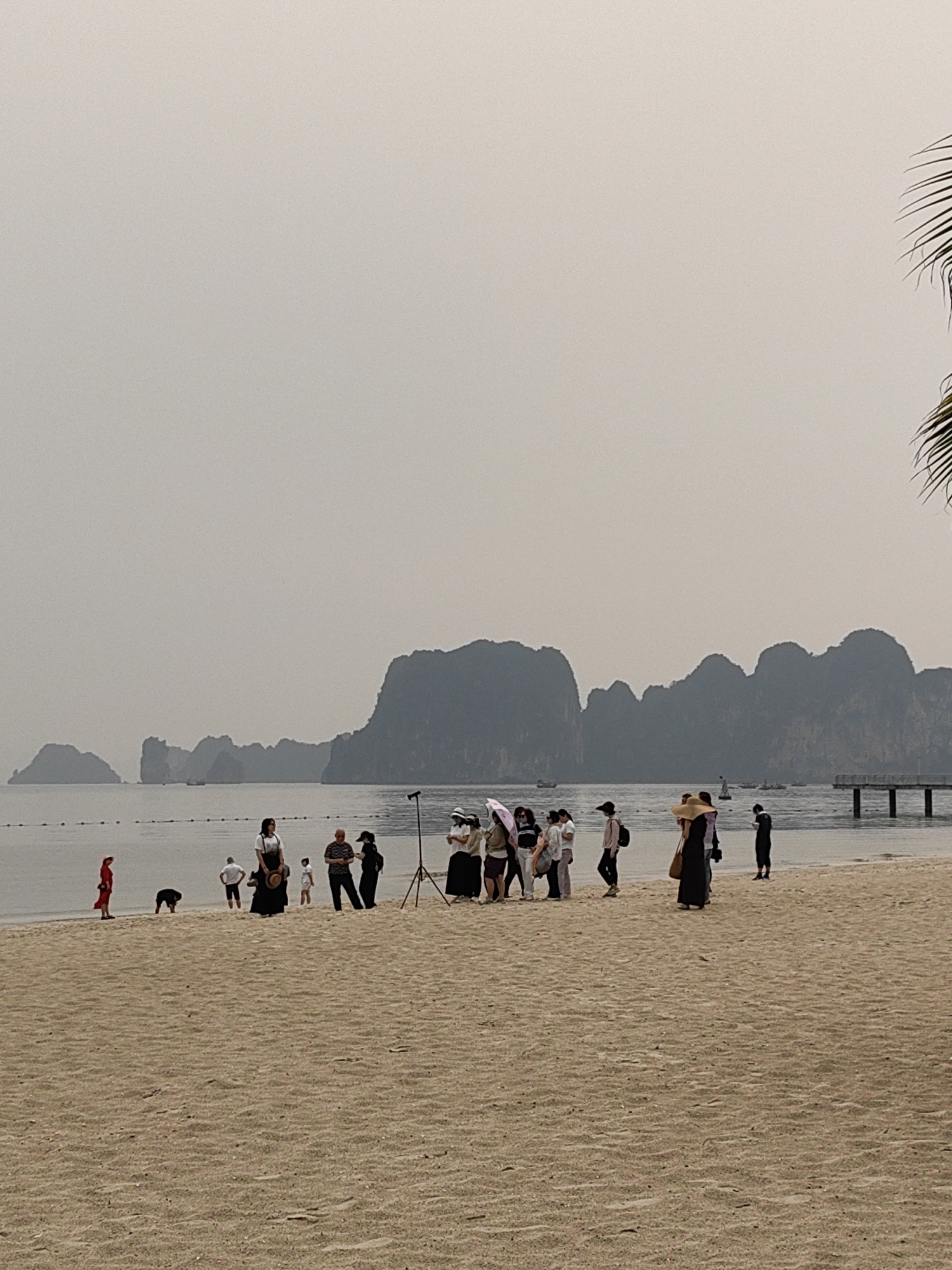This image depicts a tranquil beach scene in Ha Long Ward, Vietnam, under an overcast sky.
In the foreground, a wide expanse of light-colored sand stretches across the bottom portion of the frame. A group of approximately 15-20 individuals is gathered near the water's edge, forming the primary subjects of the image. Many are dressed in casual clothing, with some wearing hats and one person holding an open umbrella. Their arrangement suggests a coordinated activity, possibly a photoshoot, as a camera on a tripod is prominently visible on the right side of the group. One person in a striking red outfit stands on the far left of the group, near another individual kneeling close to the water.
The midground features calm, grey-toned ocean water, dotted with a line of buoys or markers. Several small boats are scattered in the distance across the water. A wooden pier with support pilings extends into the sea on the right side of the frame.
The background is dominated by the distinctive, dark silhouettes of karst limestone mountains or islands, characteristic of Ha Long Bay. These geological formations are partially veiled by atmospheric haze, blending into the light grey, uniform sky. A section of a palm frond is visible along the far right edge of the image.
The overall atmosphere is quiet and subdued due to the overcast conditions, which create soft, diffused lighting. The primary activity appears to be a photography session or a group gathering, possibly for commemorative pictures, set against the iconic Ha Long Bay landscape. No visible text is discernible in the image.