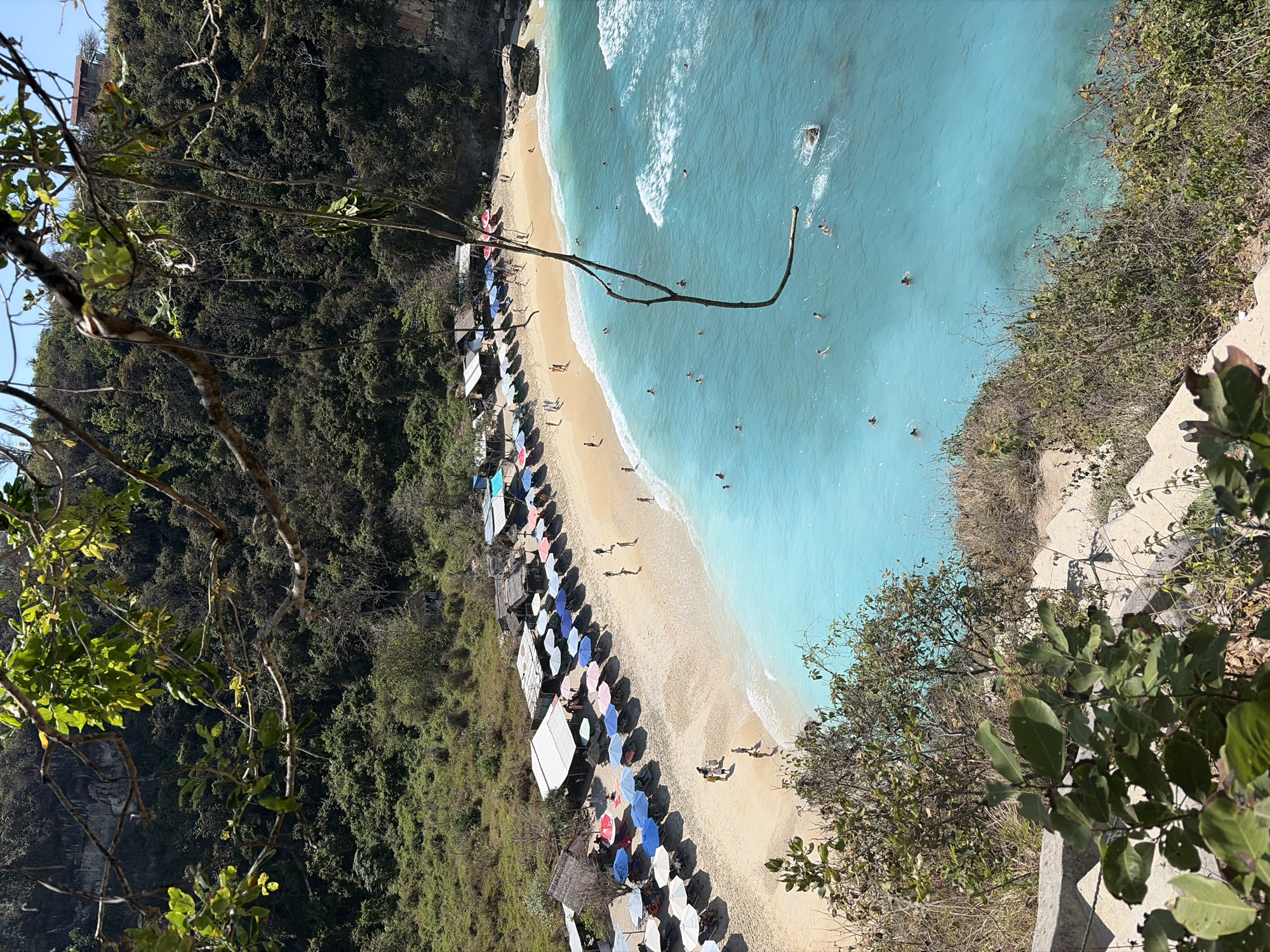This is a high-angle shot of Kelingking Beach in Nusa Penida, Indonesia. The beach is a crescent of light-colored sand lined with a row of thatched-roof huts and colorful umbrellas, many of which are set up over lounge chairs. Several people are visible on the beach, some walking and some seated under the umbrellas. The turquoise water of the ocean laps at the shore, and a number of individuals are swimming in the clear water. The beach is backed by a steep, tree-covered cliff face. In the foreground, branches of a tree hang down, partially obscuring the view. The scene captures a tropical beach setting with leisure activities.