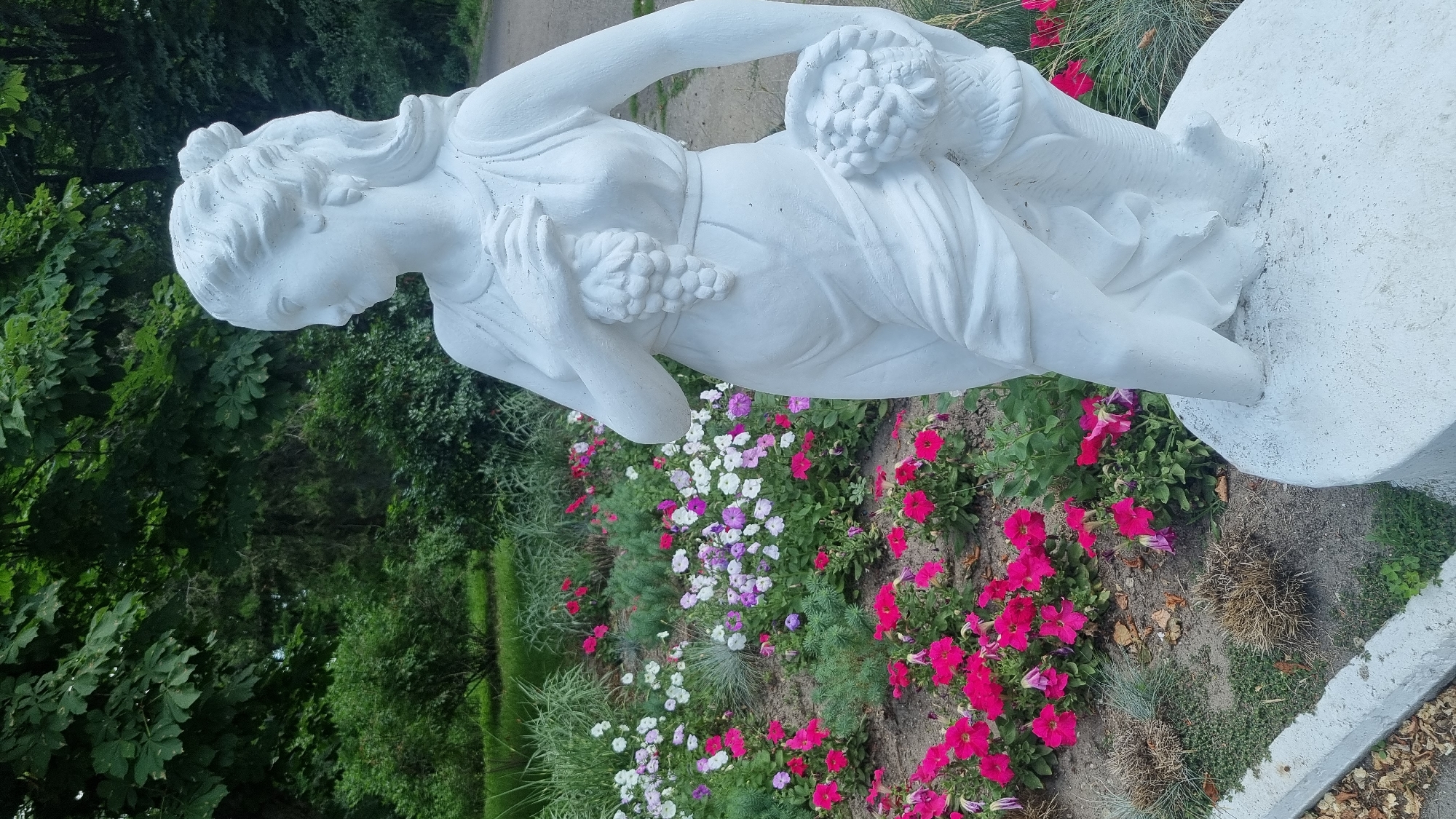 A white stone statue of a woman holding grapes and a basket of fruit stands in a flower bed in Smila, Ukraine. The statue is life-sized and depicts a classical female figure with flowing drapery. She is positioned to the right of the frame, with her gaze directed to the left. The flower bed in front of the statue contains a vibrant mix of pink, white, and purple petunias, interspersed with some greenery and dried foliage. Behind the statue and flower bed, a pathway is visible, bordered by lush green trees and bushes, suggesting a park or garden setting. The overall scene is serene and picturesque, with the white statue providing a striking contrast against the colorful flowers and natural backdrop.